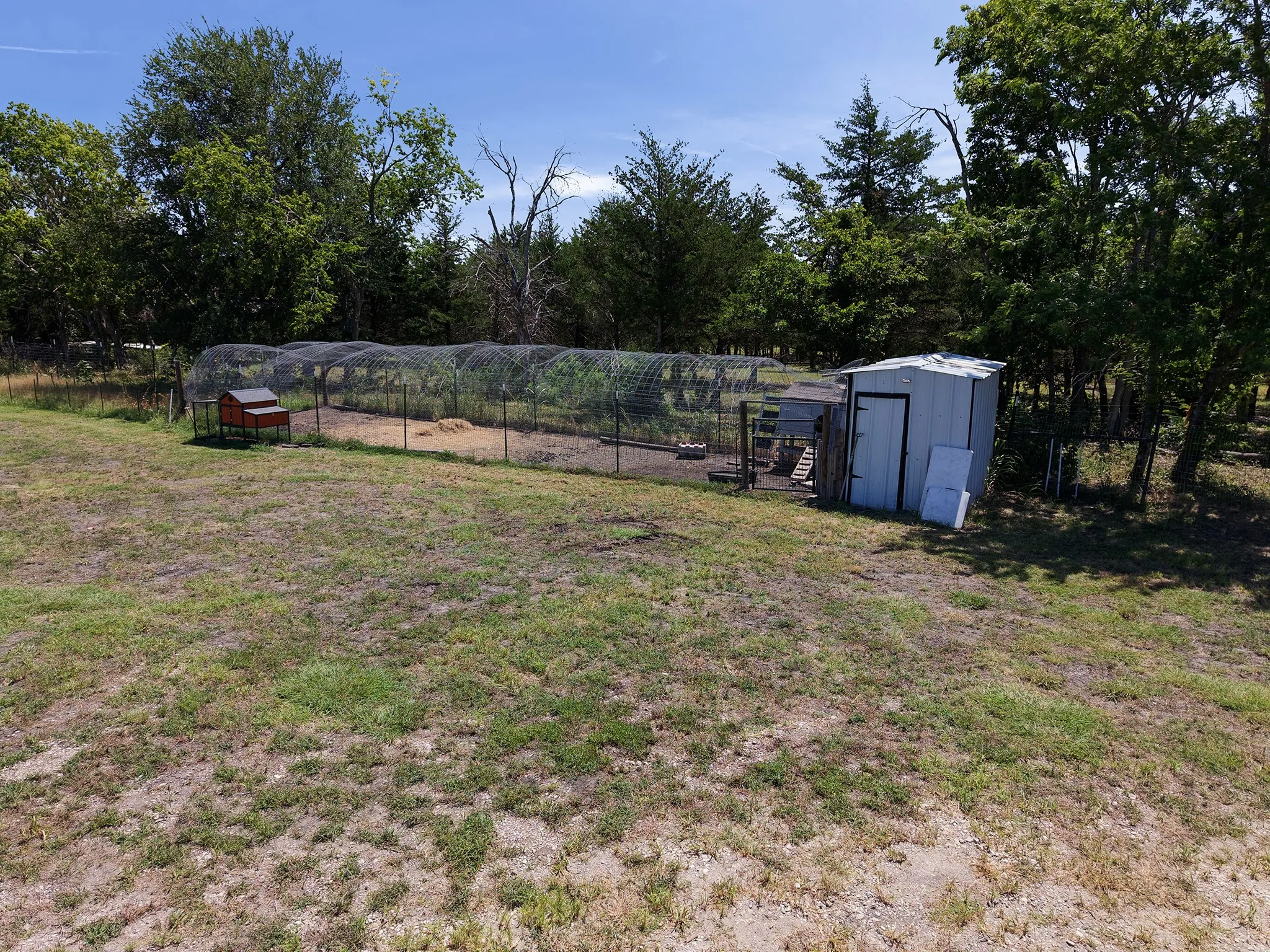 Outdoor fenced enclosure with a chicken coop and a storage shed, surrounded by mature trees