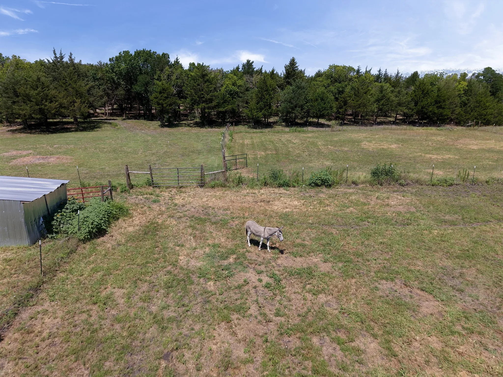 Improved Land For Sale in Hunt County , 1843 County Road 2140, Caddo Mills, Texas 75135, 0, 0, Garage spaces, 0 Sqft, built in 0, Price $474,900, mls#21330479, Real Estate Agent in Caddo Mills, Homes For Sale in Hunt county, Homes For Sale in Caddo Mills, Realtor in Caddo Mills Texas, Real Estate Brokerage Independent Realty Texas, Luminita Cordes Realtor