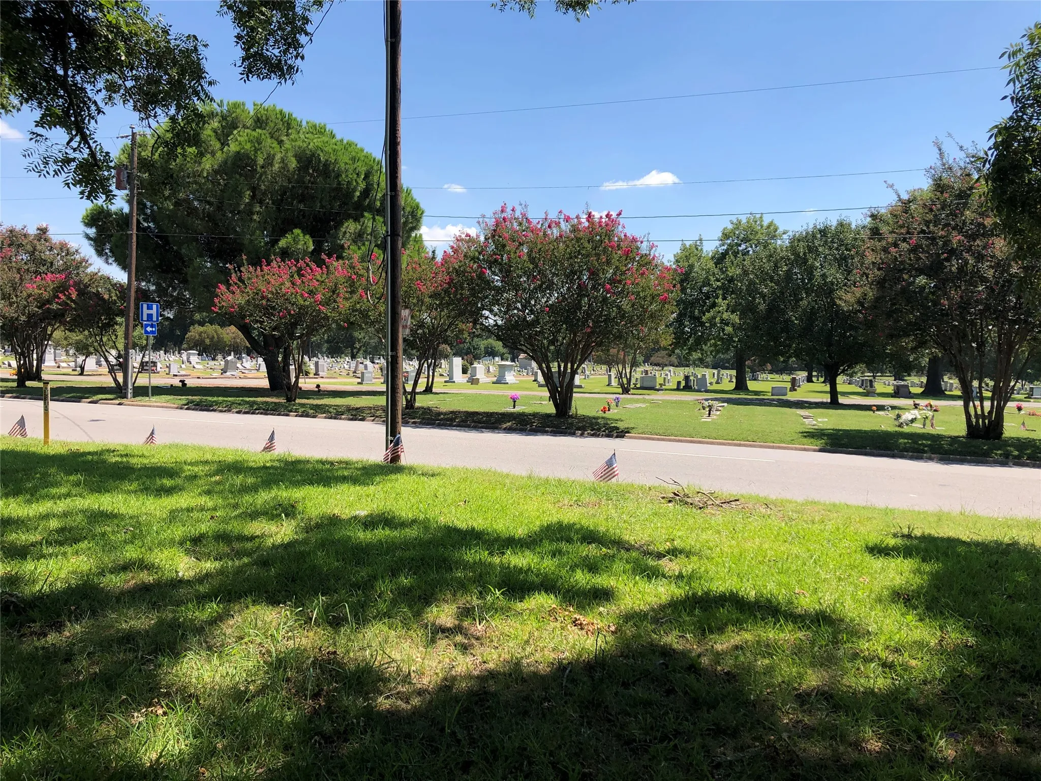 Single Family Residence For Sale in Grayson County , 1115 W Lamar Street, Sherman, Texas 75092, 2 Bedroom, 2 Bathroom, Garage spaces, 1,176 Sqft, built in 1955, mls#21329818, Real Estate Agent in Sherman, Homes For Sale in Grayson county, Homes For Sale in Sherman, Realtor in Sherman Texas, Real Estate Brokerage Independent Realty Texas, Luminita Cordes Realtor