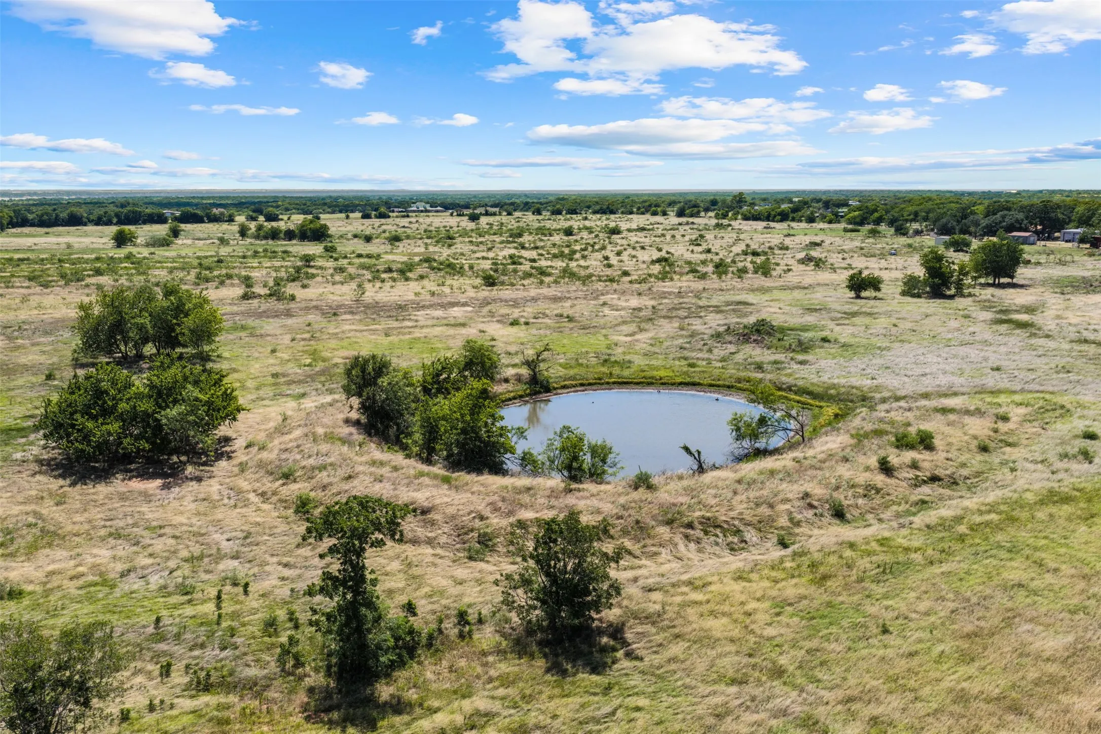 Pastureland featuring a central pond, scattered mature trees, and a distant tree line