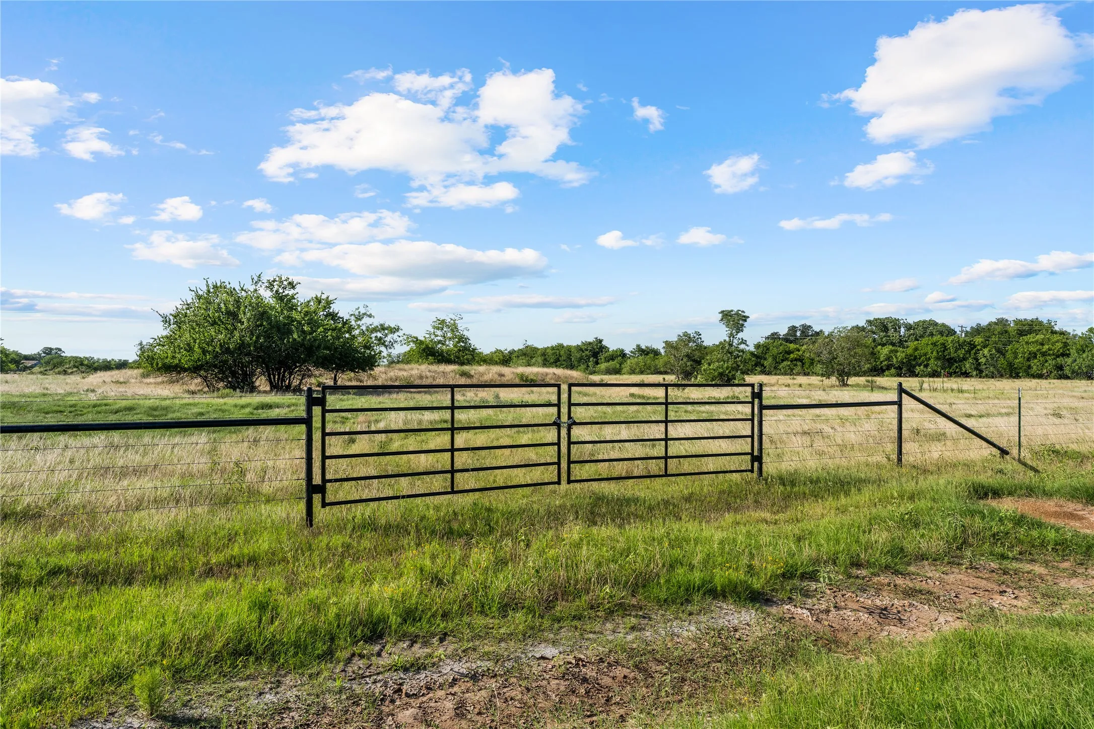 Fenced perimeter with a double metal gate, mature trees, and open fields under a blue sky