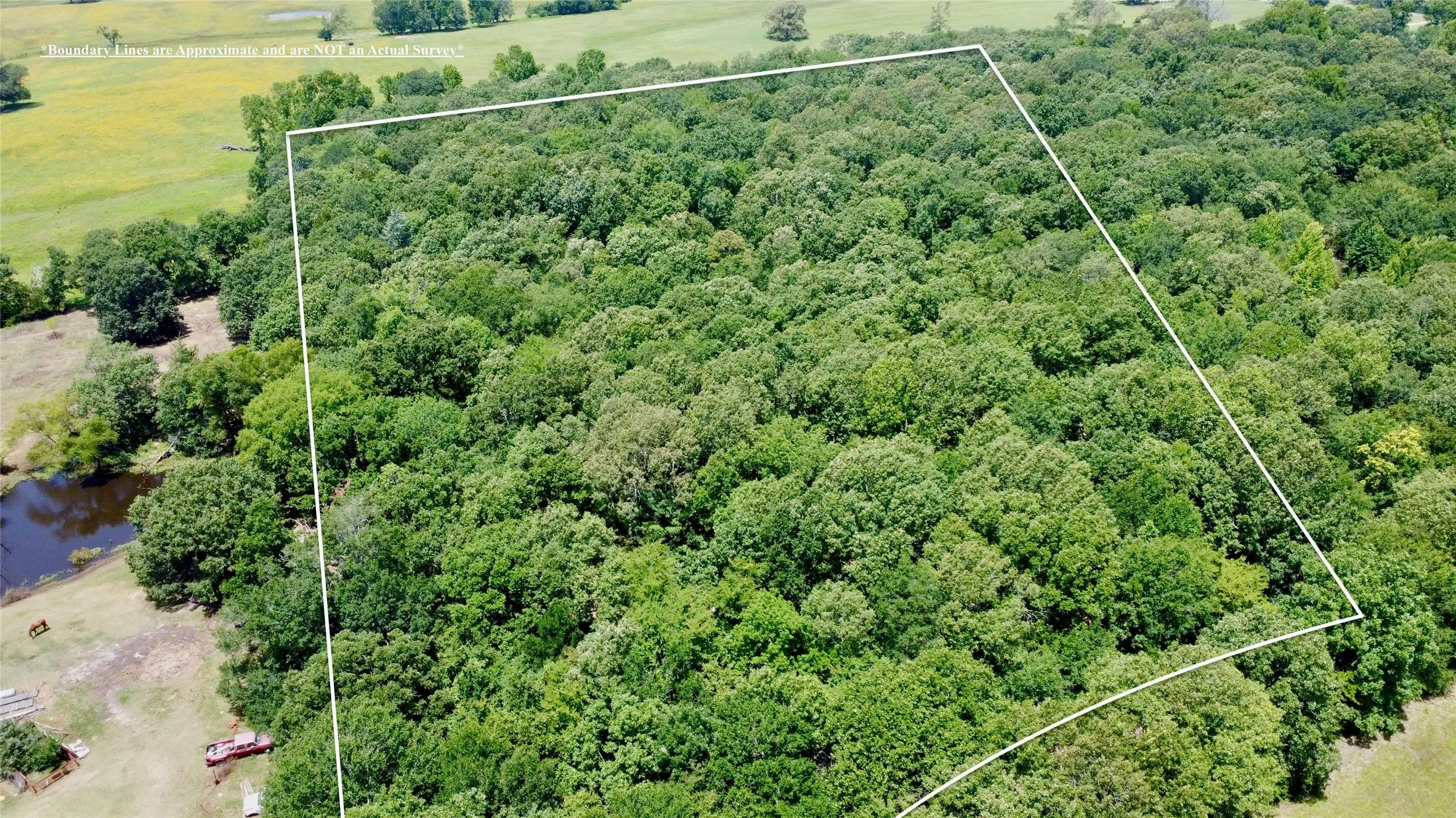 Unimproved Land For Sale in Lamar County , Tract 6 CR 44400, Powderly, Texas 75473, 0, 0, Garage spaces, 0 Sqft, built in 0, mls#21329799, Real Estate Agent in Powderly, Homes For Sale in Lamar county, Homes For Sale in Powderly, Realtor in Powderly Texas, Real Estate Brokerage Independent Realty Texas, Luminita Cordes Realtor