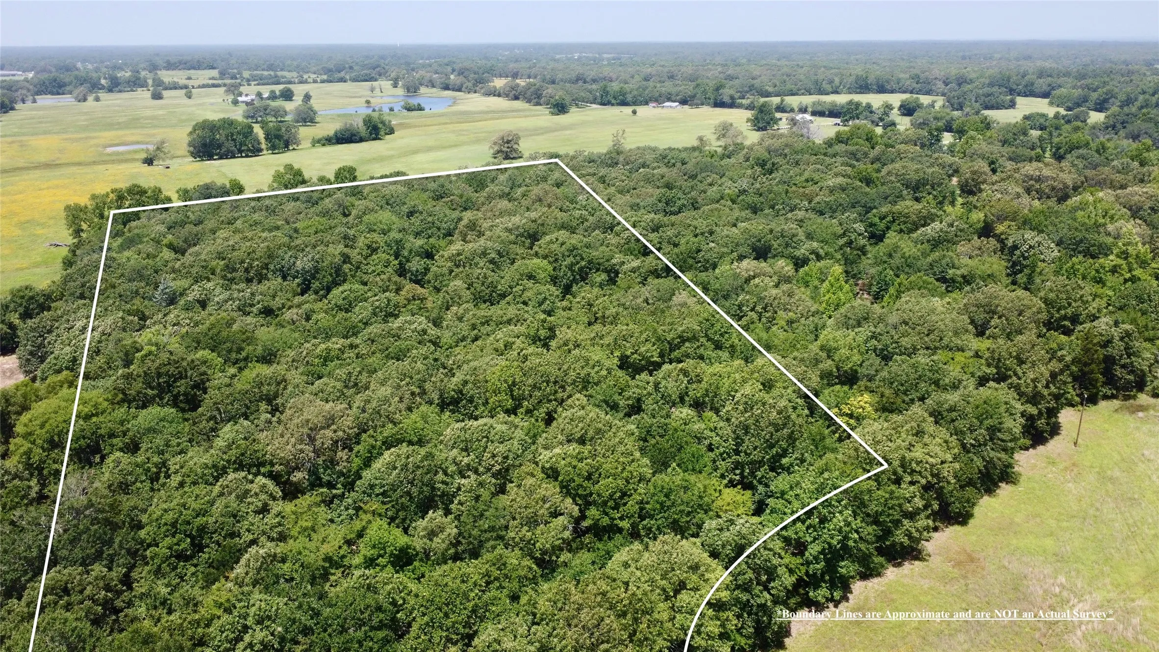 Unimproved Land For Sale in Lamar County , Tract 6 CR 44400, Powderly, Texas 75473, 0, 0, Garage spaces, 0 Sqft, built in 0, mls#21329799, Real Estate Agent in Powderly, Homes For Sale in Lamar county, Homes For Sale in Powderly, Realtor in Powderly Texas, Real Estate Brokerage Independent Realty Texas, Luminita Cordes Realtor