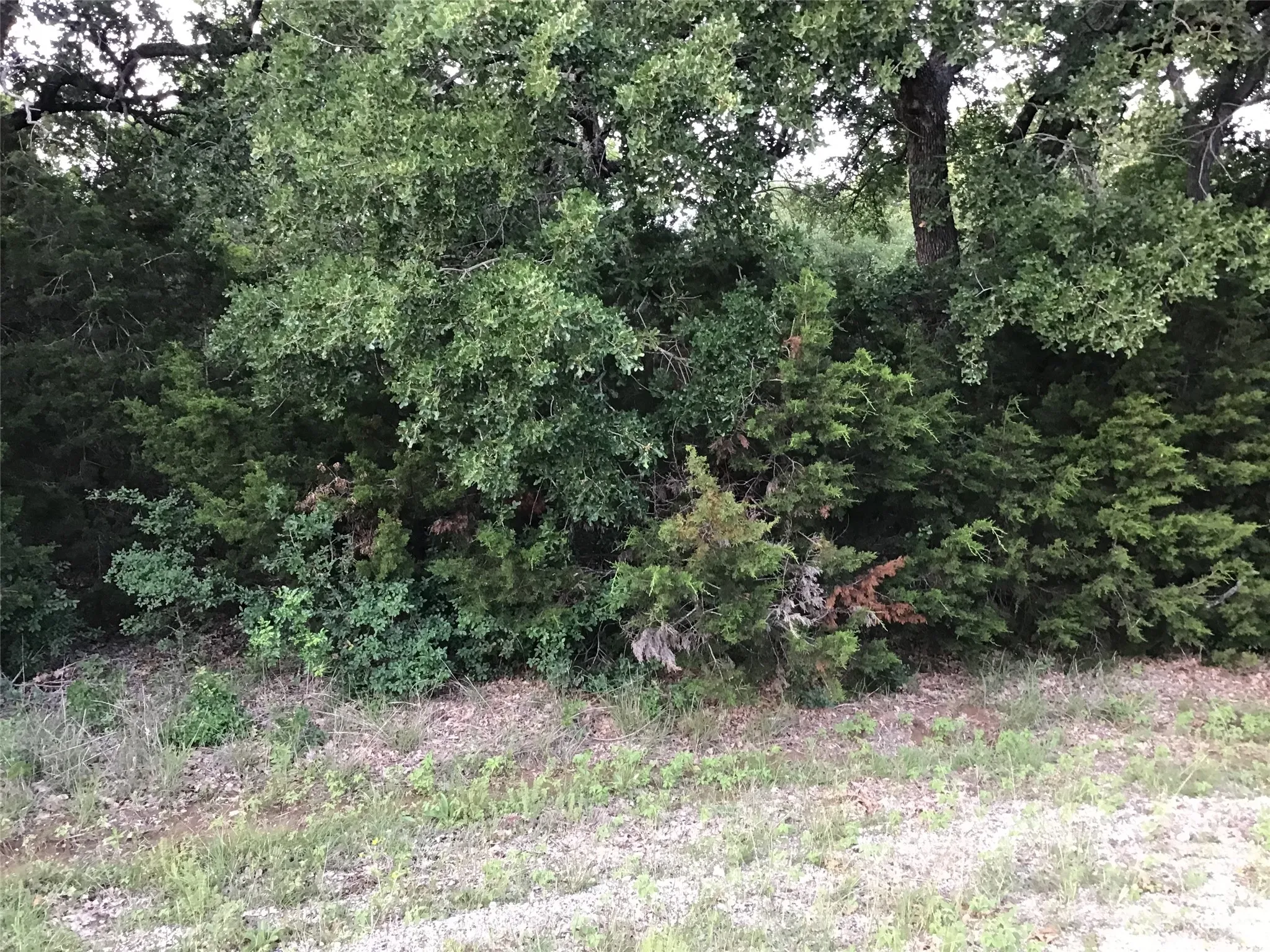 Unimproved Land For Sale in Hill County , 44021 Fringewood Drive, Whitney, Texas 76692, 0, 0, Garage spaces, 0 Sqft, built in 0, Price $15,000, mls#21329138, Real Estate Agent in Whitney, Homes For Sale in Hill county, Homes For Sale in Whitney, Realtor in Whitney Texas, Real Estate Brokerage Independent Realty Texas, Luminita Cordes Realtor