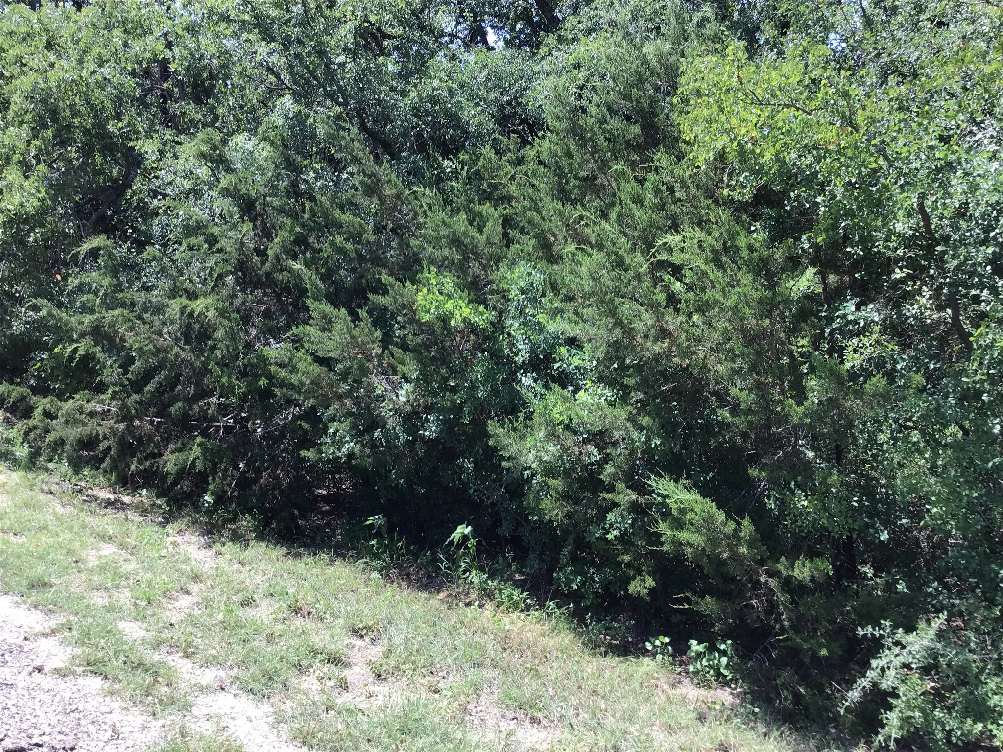 Unimproved Land For Sale in Hill County , 44021 Fringewood Drive, Whitney, Texas 76692, 0, 0, Garage spaces, 0 Sqft, built in 0, Price $15,000, mls#21329138, Real Estate Agent in Whitney, Homes For Sale in Hill county, Homes For Sale in Whitney, Realtor in Whitney Texas, Real Estate Brokerage Independent Realty Texas, Luminita Cordes Realtor