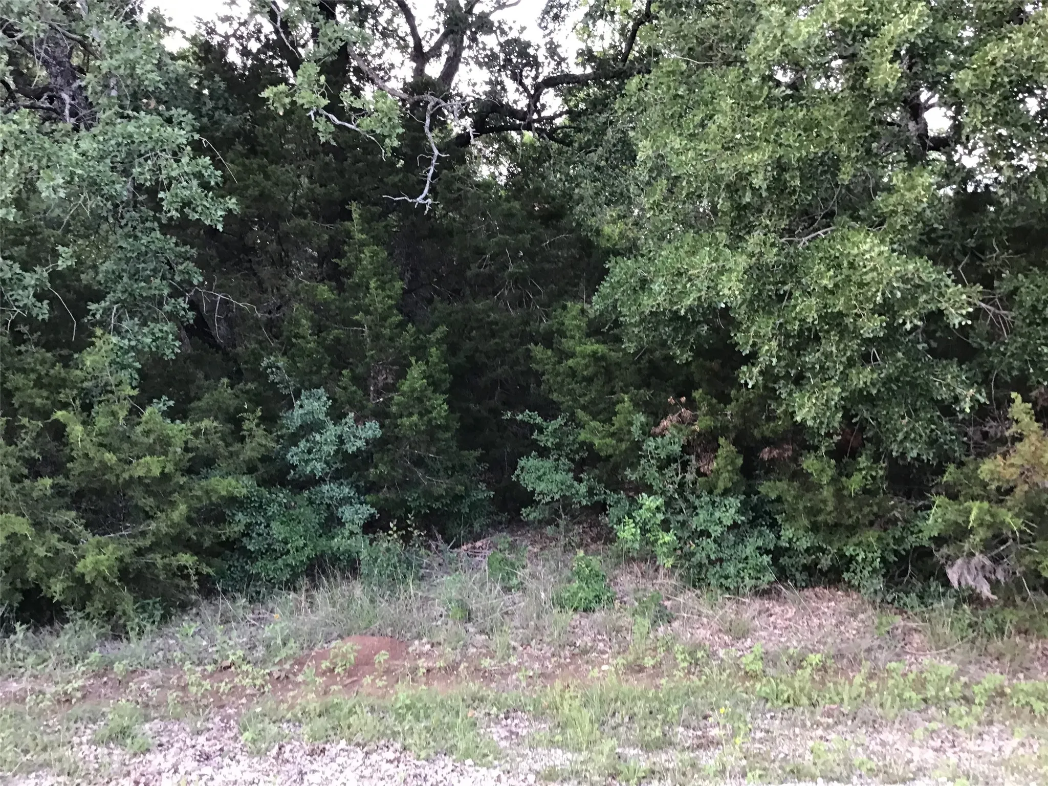 Unimproved Land For Sale in Hill County , 44021 Fringewood Drive, Whitney, Texas 76692, 0, 0, Garage spaces, 0 Sqft, built in 0, Price $15,000, mls#21329138, Real Estate Agent in Whitney, Homes For Sale in Hill county, Homes For Sale in Whitney, Realtor in Whitney Texas, Real Estate Brokerage Independent Realty Texas, Luminita Cordes Realtor