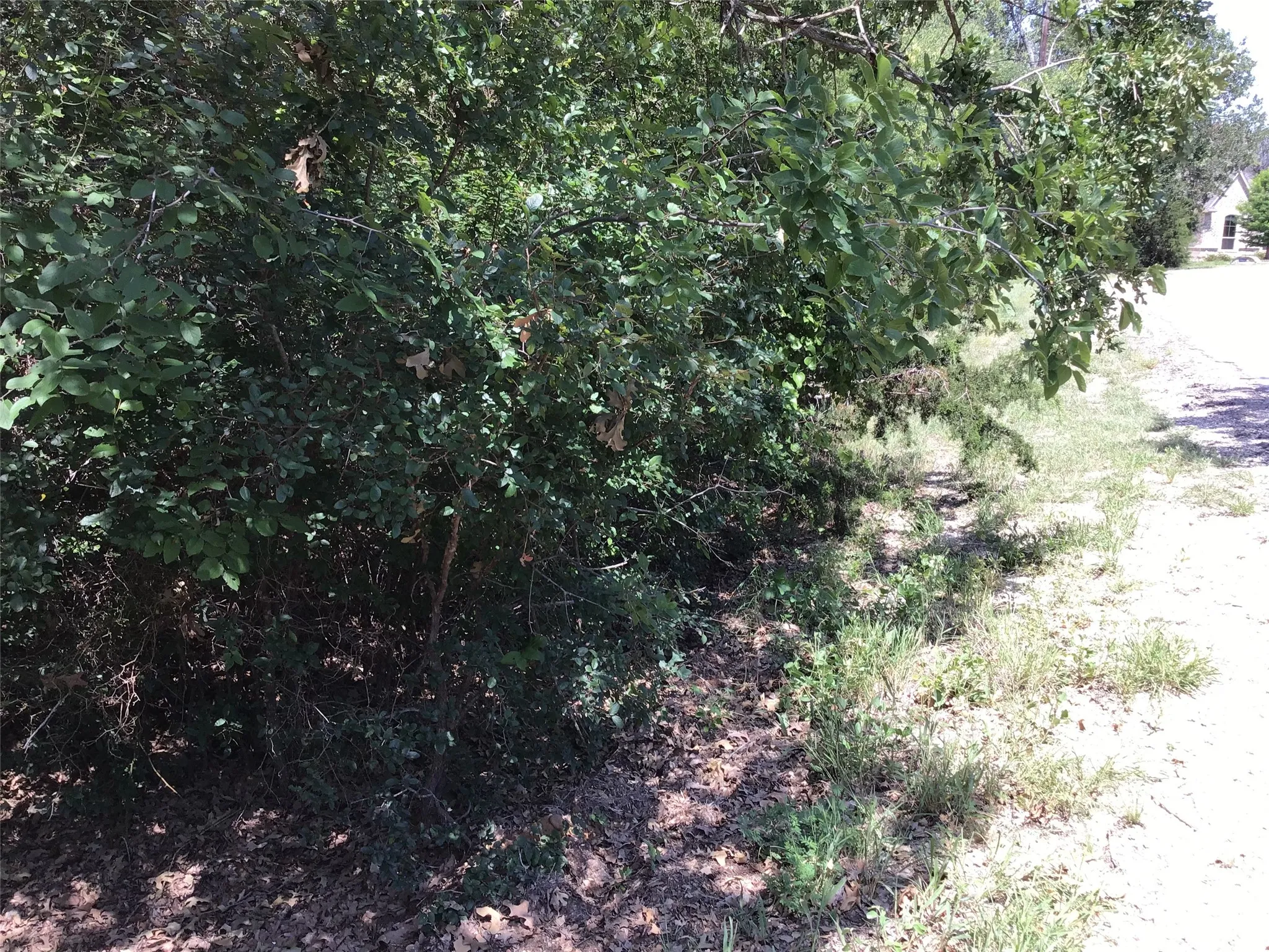 Unimproved Land For Sale in Hill County , 44021 Fringewood Drive, Whitney, Texas 76692, 0, 0, Garage spaces, 0 Sqft, built in 0, Price $15,000, mls#21329138, Real Estate Agent in Whitney, Homes For Sale in Hill county, Homes For Sale in Whitney, Realtor in Whitney Texas, Real Estate Brokerage Independent Realty Texas, Luminita Cordes Realtor