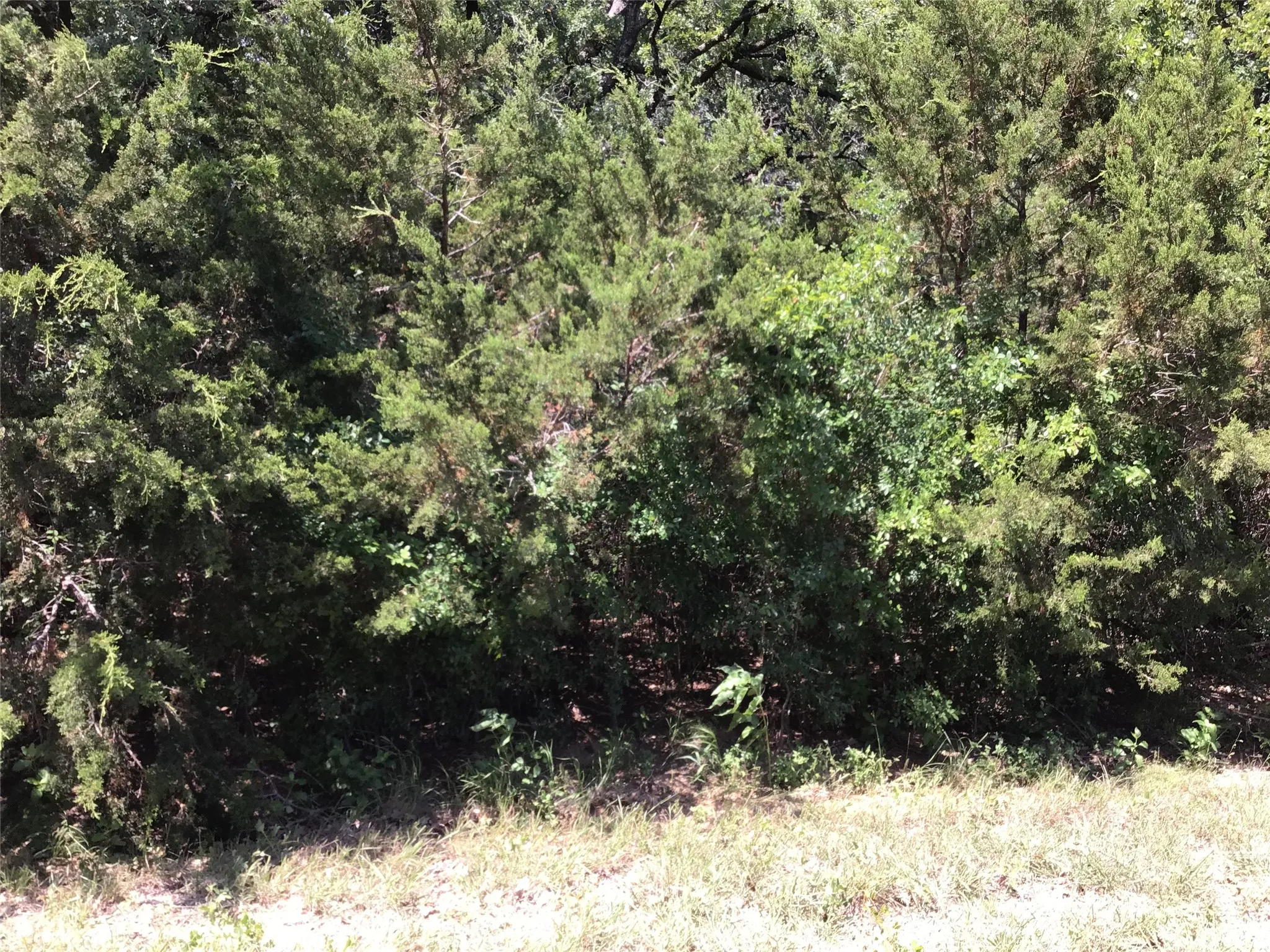 Unimproved Land For Sale in Hill County , 44021 Fringewood Drive, Whitney, Texas 76692, 0, 0, Garage spaces, 0 Sqft, built in 0, Price $15,000, mls#21329138, Real Estate Agent in Whitney, Homes For Sale in Hill county, Homes For Sale in Whitney, Realtor in Whitney Texas, Real Estate Brokerage Independent Realty Texas, Luminita Cordes Realtor