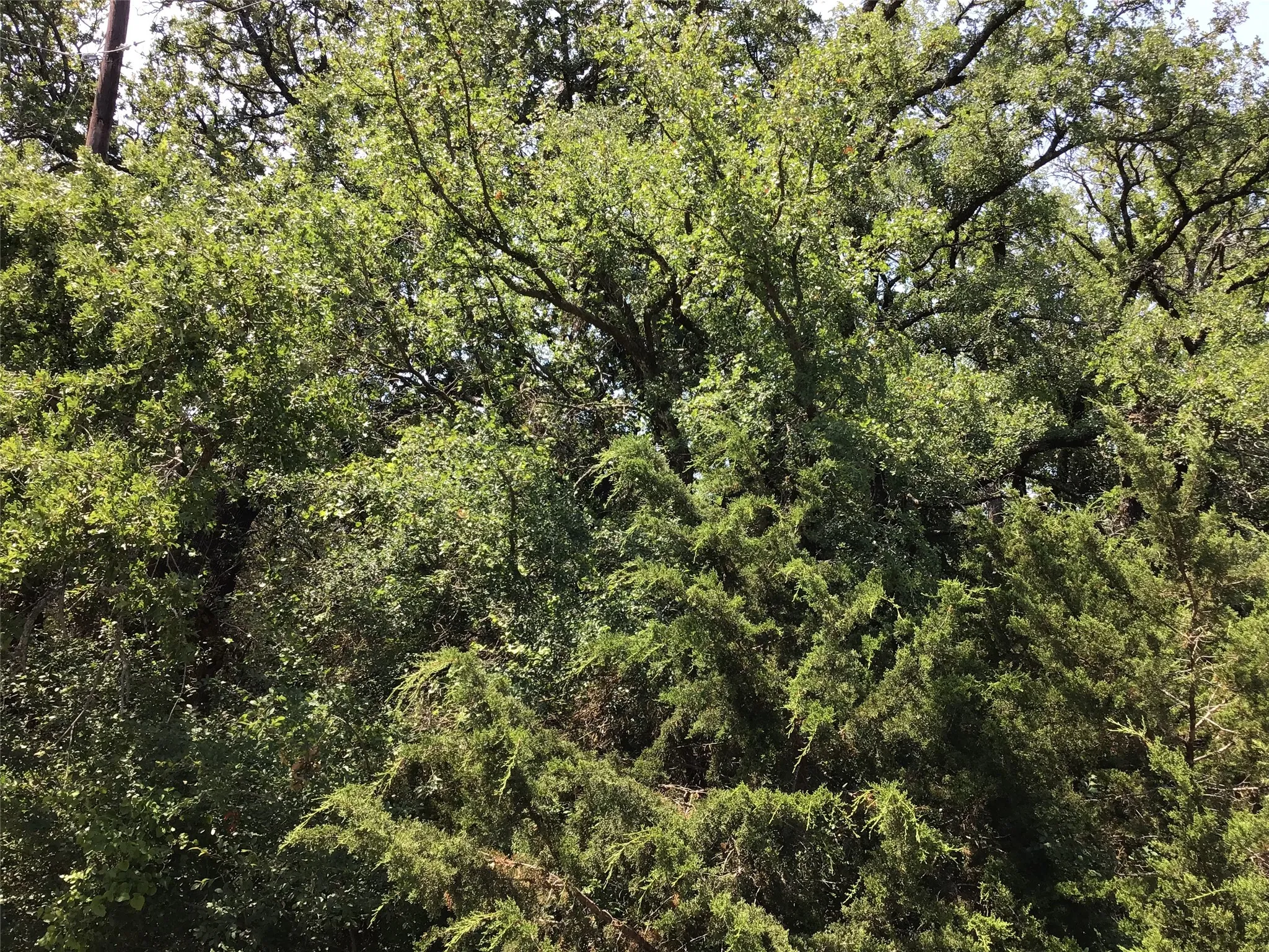 Unimproved Land For Sale in Hill County , 44021 Fringewood Drive, Whitney, Texas 76692, 0, 0, Garage spaces, 0 Sqft, built in 0, Price $15,000, mls#21329138, Real Estate Agent in Whitney, Homes For Sale in Hill county, Homes For Sale in Whitney, Realtor in Whitney Texas, Real Estate Brokerage Independent Realty Texas, Luminita Cordes Realtor