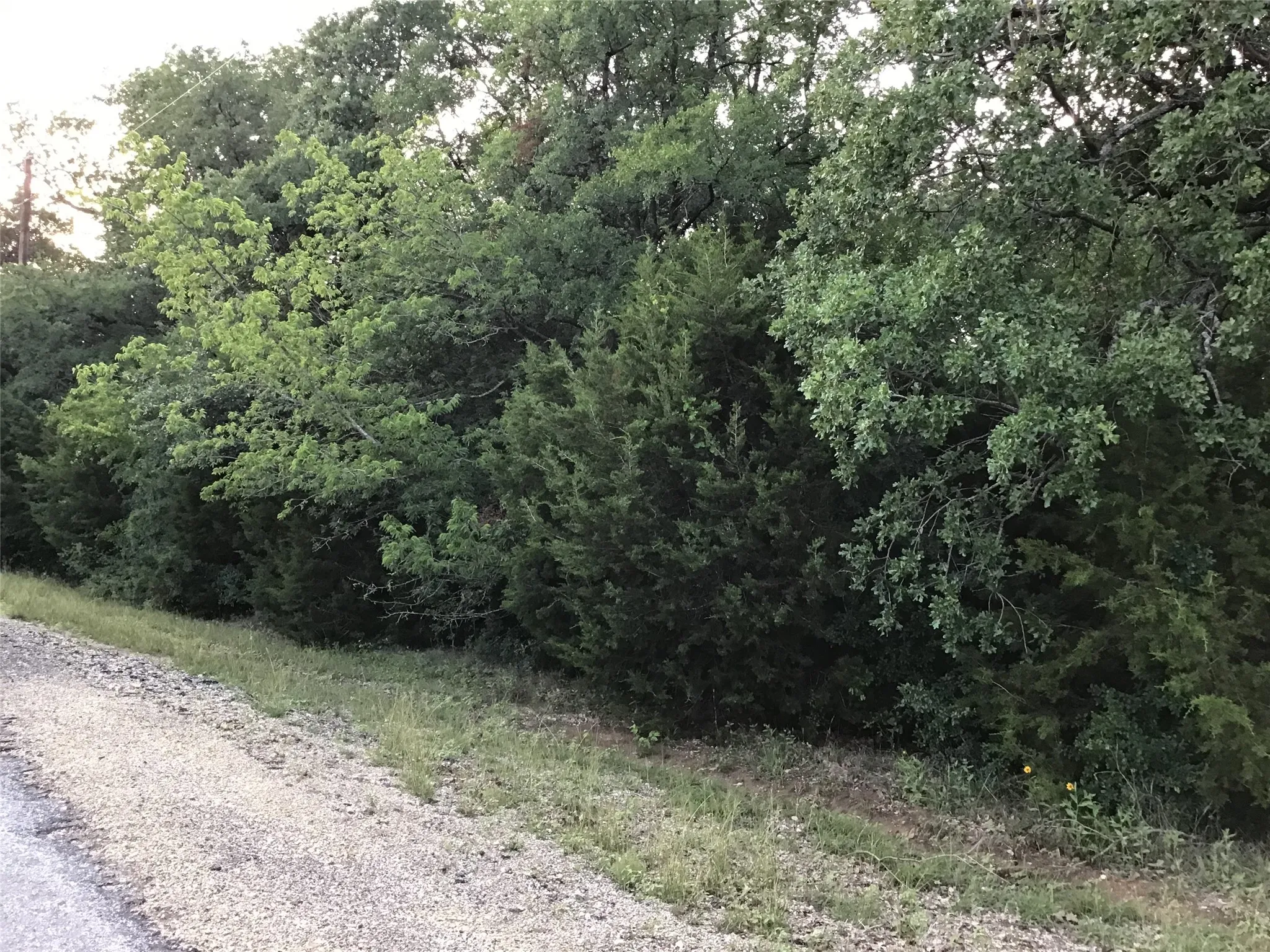 Unimproved Land For Sale in Hill County , 44021 Fringewood Drive, Whitney, Texas 76692, 0, 0, Garage spaces, 0 Sqft, built in 0, Price $15,000, mls#21329138, Real Estate Agent in Whitney, Homes For Sale in Hill county, Homes For Sale in Whitney, Realtor in Whitney Texas, Real Estate Brokerage Independent Realty Texas, Luminita Cordes Realtor