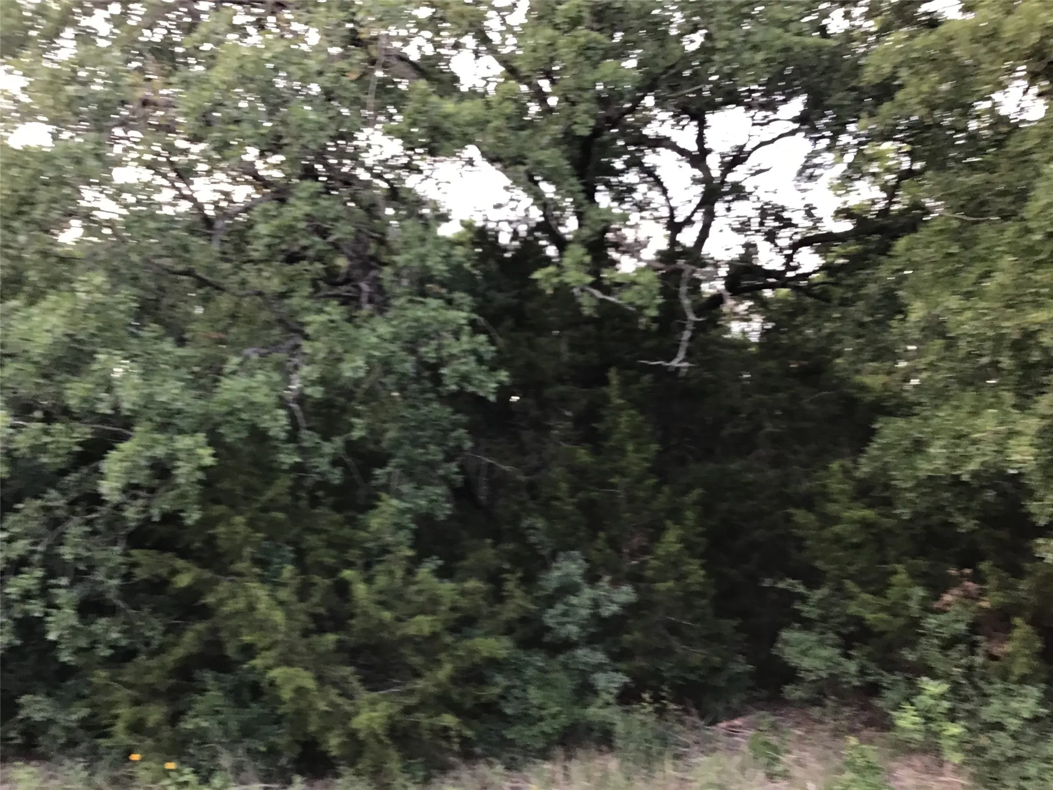 Unimproved Land For Sale in Hill County , 44021 Fringewood Drive, Whitney, Texas 76692, 0, 0, Garage spaces, 0 Sqft, built in 0, Price $15,000, mls#21329138, Real Estate Agent in Whitney, Homes For Sale in Hill county, Homes For Sale in Whitney, Realtor in Whitney Texas, Real Estate Brokerage Independent Realty Texas, Luminita Cordes Realtor