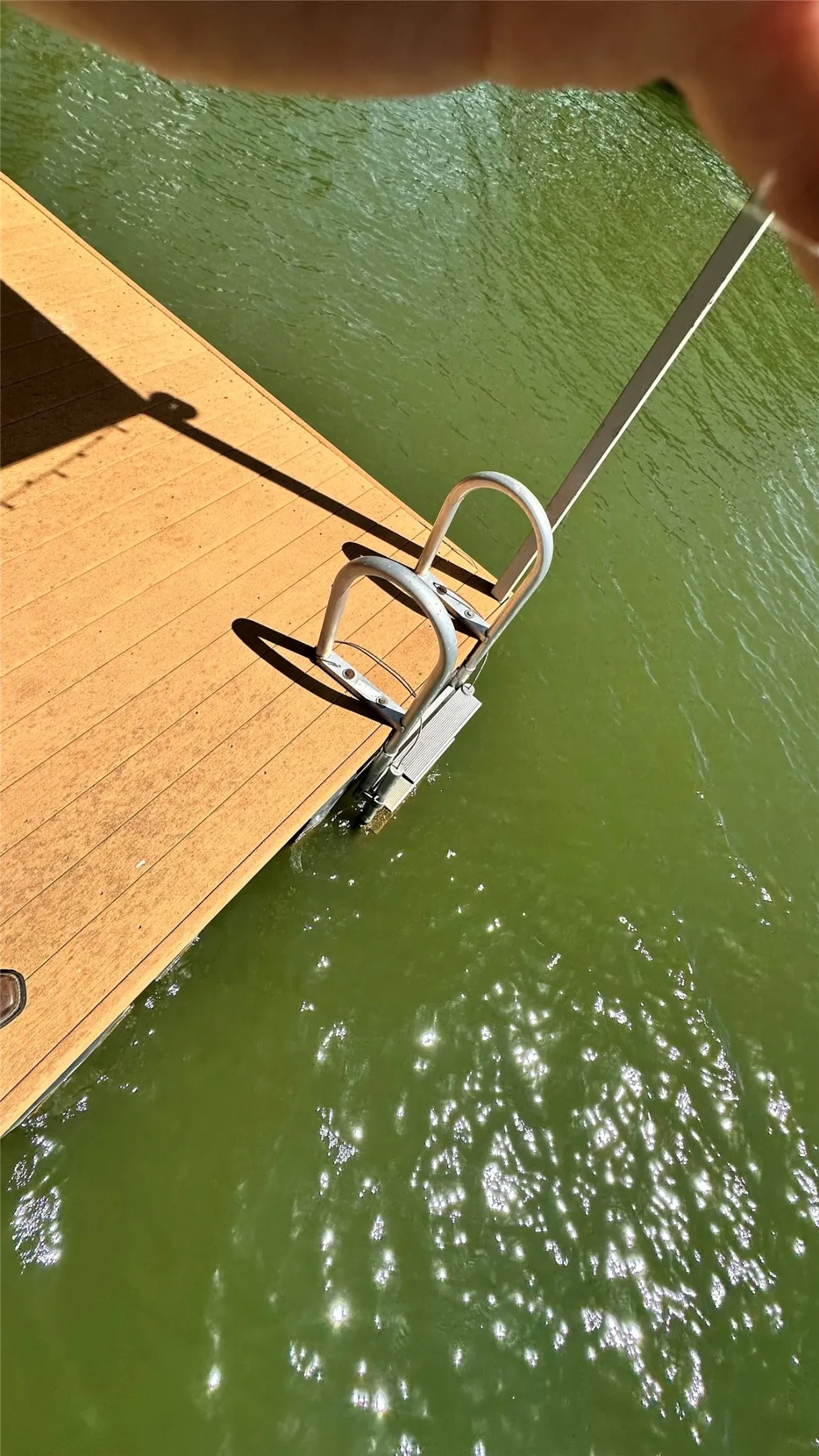 Dock Ladder