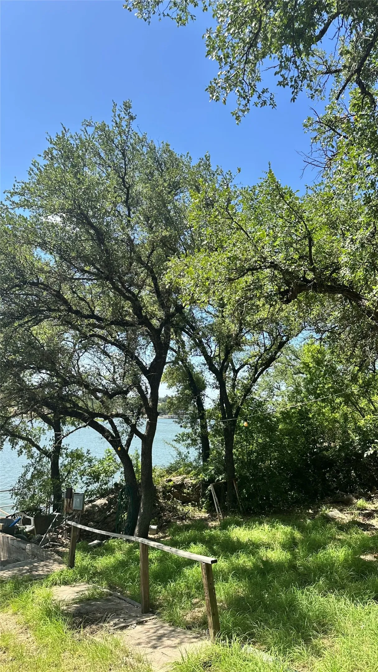 Plenty of Oak Trees for Shade