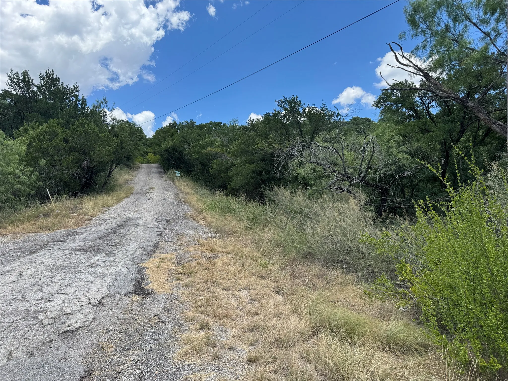 Gravel road ascending through dense natural foliage