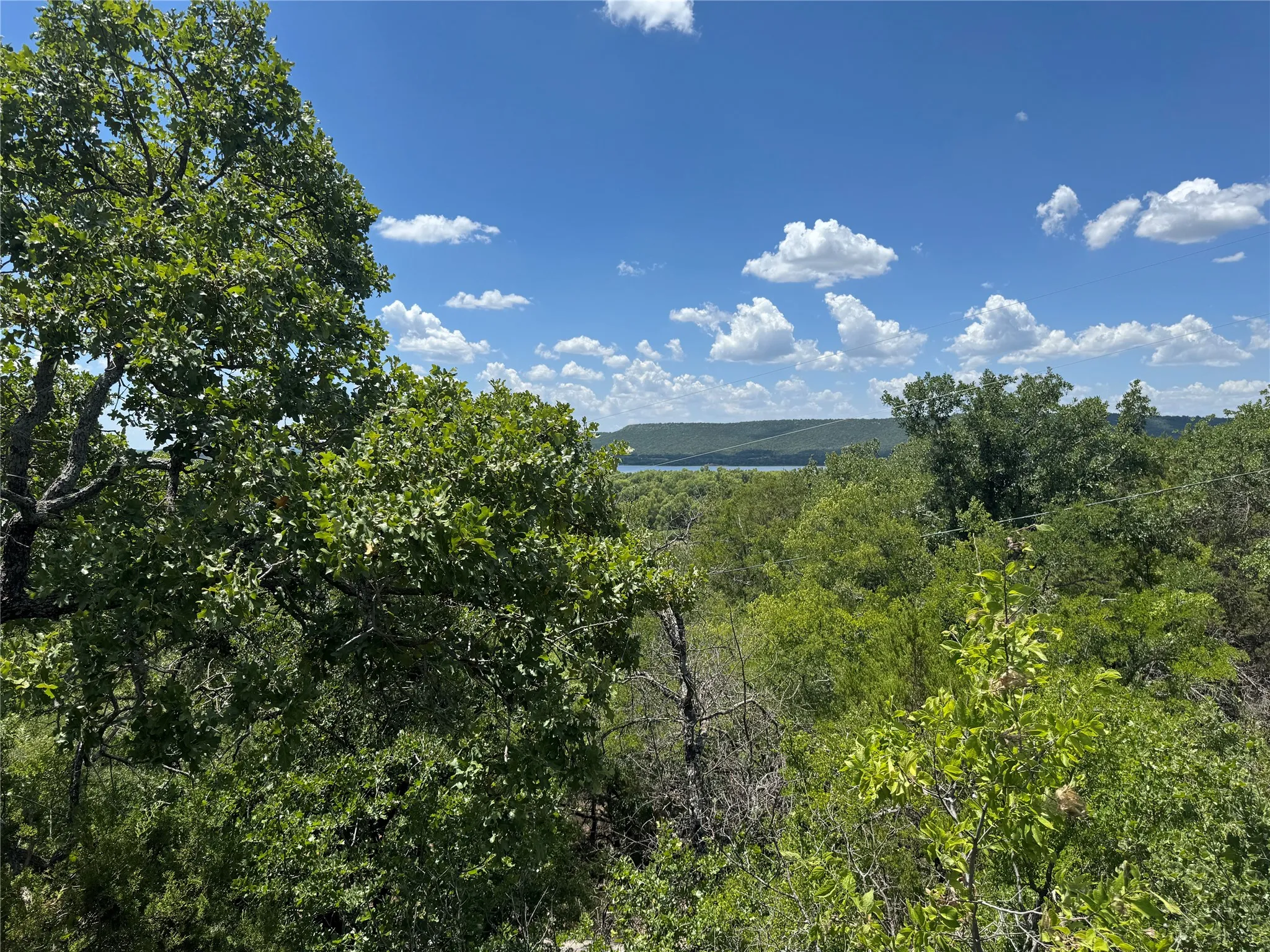 Expansive natural landscape featuring lush green trees and distant water
