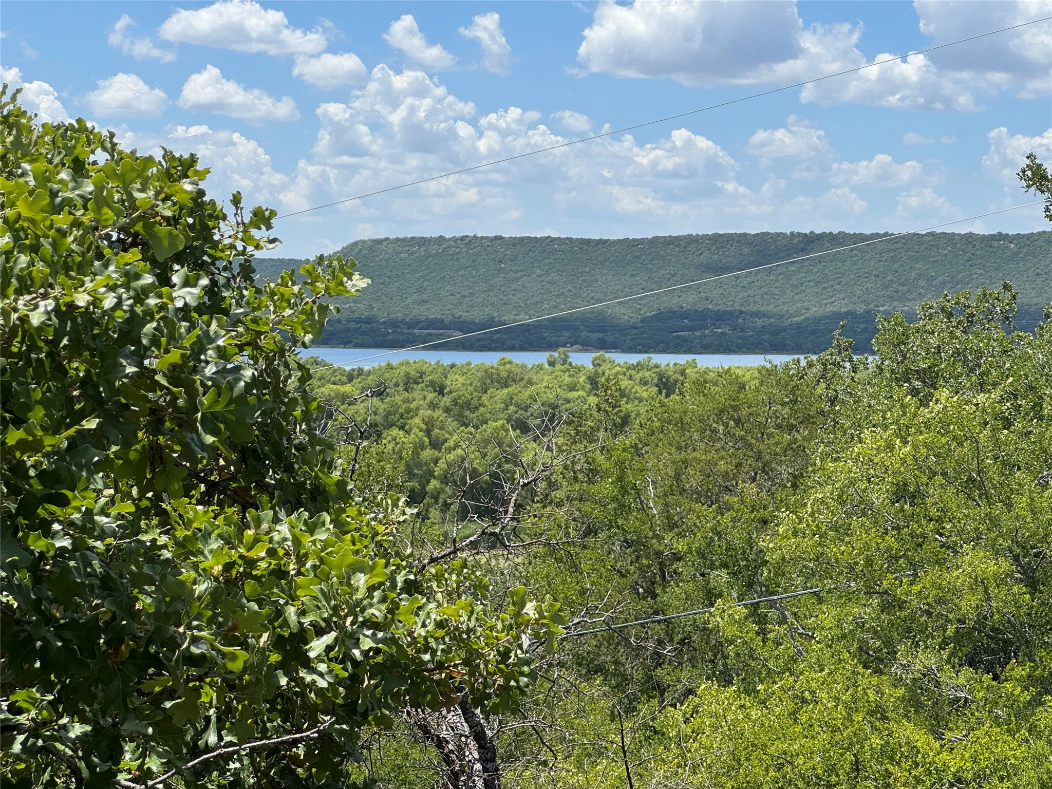 Expansive natural landscape featuring lush green foliage, distant water body, and rolling hills