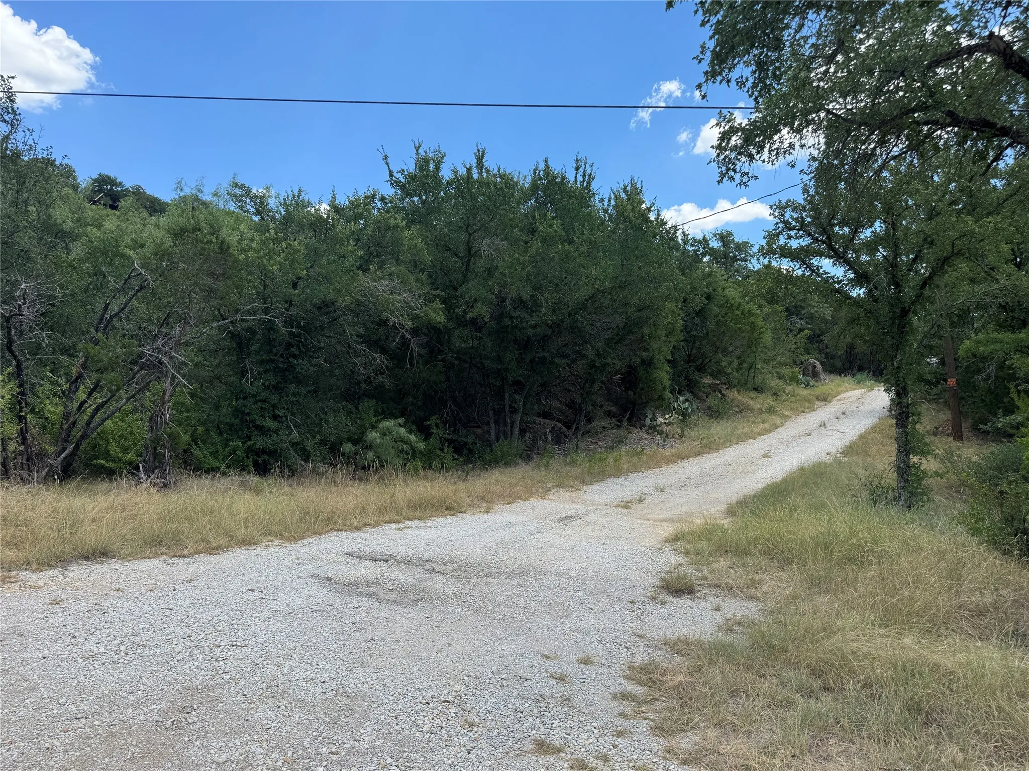Gravel road extending into a wooded landscape with mature trees and natural vegetation