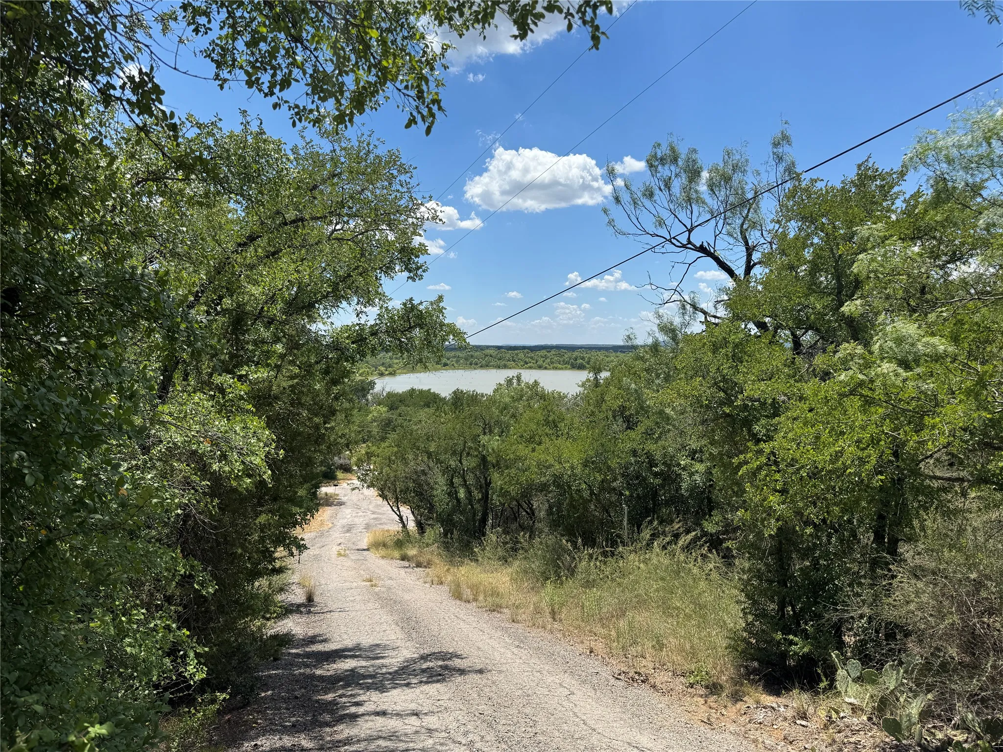 Unpaved road descending through dense, mature foliage with a distant body of water visible under a clear sky