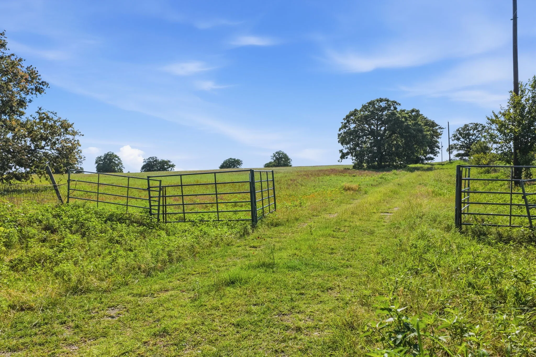 Unimproved Land For Sale in Parker County , 5615 N Farm Market 51, Weatherford, Texas 76085, 0, 0, Garage spaces, 0 Sqft, built in 0, mls#21330508, Real Estate Agent in Weatherford, Homes For Sale in Parker county, Homes For Sale in Weatherford, Realtor in Weatherford Texas, Real Estate Brokerage Independent Realty Texas, Luminita Cordes Realtor