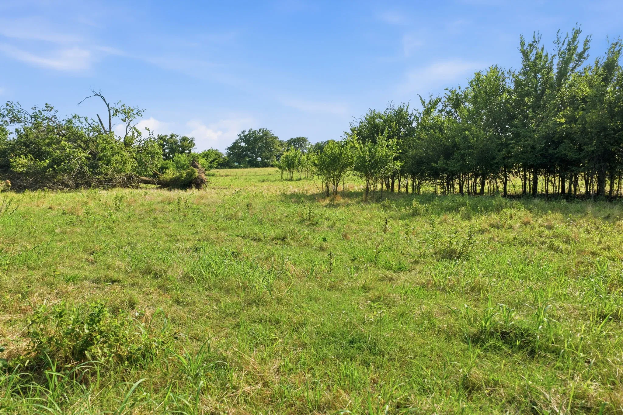 Unimproved Land For Sale in Parker County , 5615 N Farm Market 51, Weatherford, Texas 76085, 0, 0, Garage spaces, 0 Sqft, built in 0, mls#21330508, Real Estate Agent in Weatherford, Homes For Sale in Parker county, Homes For Sale in Weatherford, Realtor in Weatherford Texas, Real Estate Brokerage Independent Realty Texas, Luminita Cordes Realtor