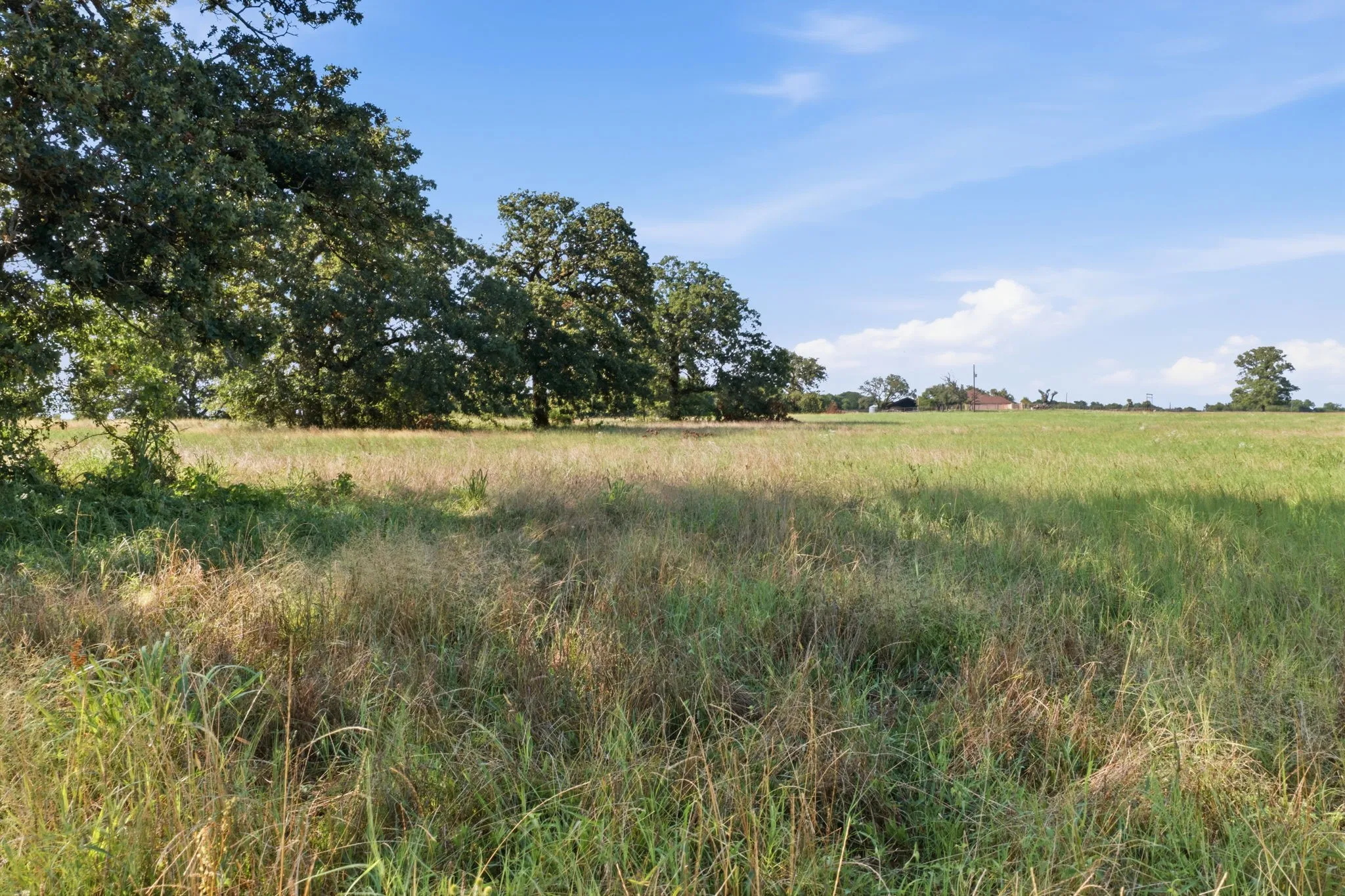 Unimproved Land For Sale in Parker County , 5615 N Farm Market 51, Weatherford, Texas 76085, 0, 0, Garage spaces, 0 Sqft, built in 0, mls#21330508, Real Estate Agent in Weatherford, Homes For Sale in Parker county, Homes For Sale in Weatherford, Realtor in Weatherford Texas, Real Estate Brokerage Independent Realty Texas, Luminita Cordes Realtor