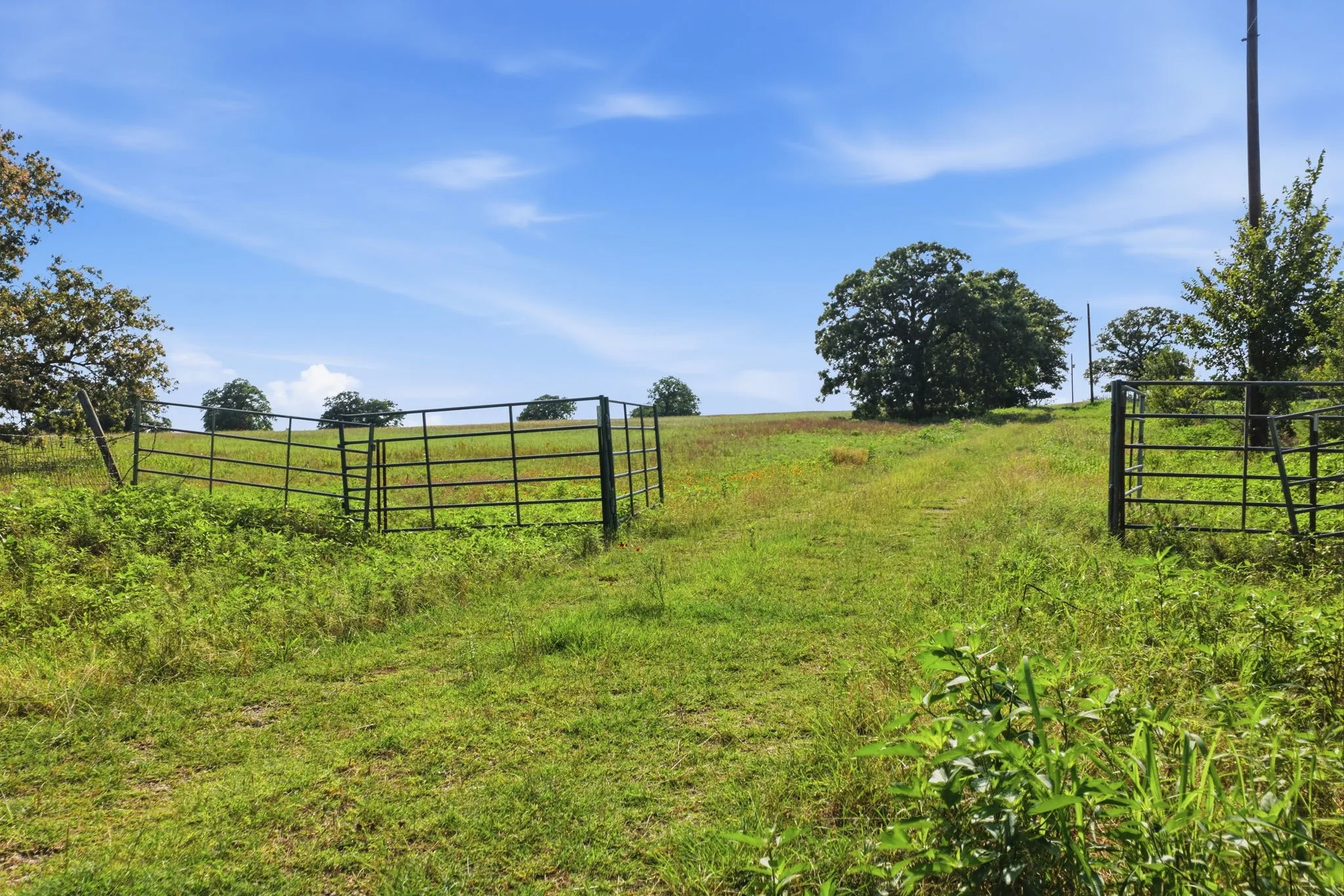 Unimproved Land For Sale in Parker County , 5615 N Farm Market 51, Weatherford, Texas 76085, 0, 0, Garage spaces, 0 Sqft, built in 0, mls#21330508, Real Estate Agent in Weatherford, Homes For Sale in Parker county, Homes For Sale in Weatherford, Realtor in Weatherford Texas, Real Estate Brokerage Independent Realty Texas, Luminita Cordes Realtor