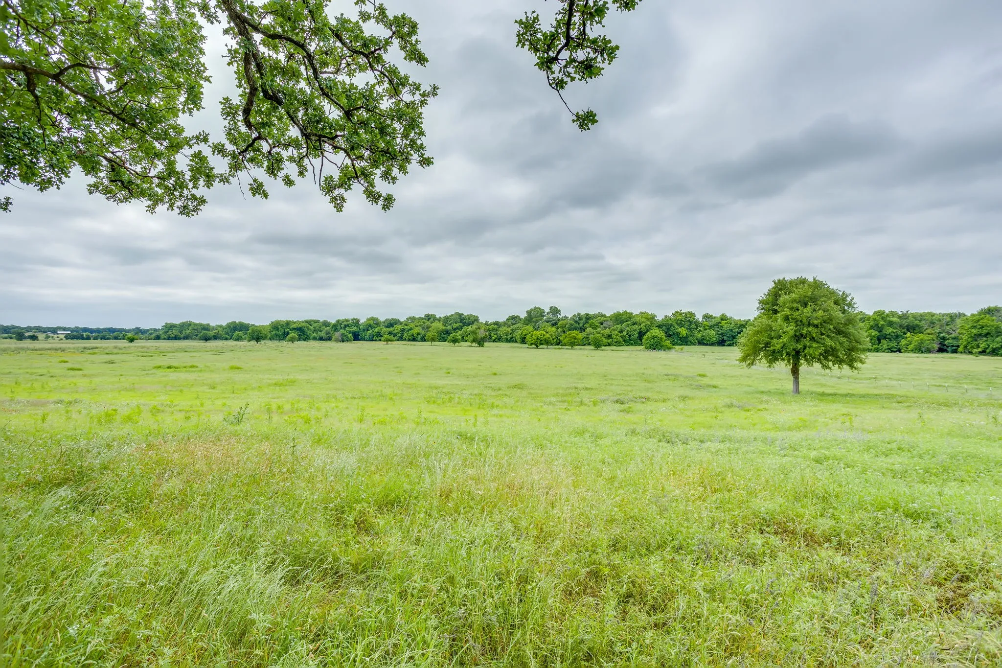 Back acreage