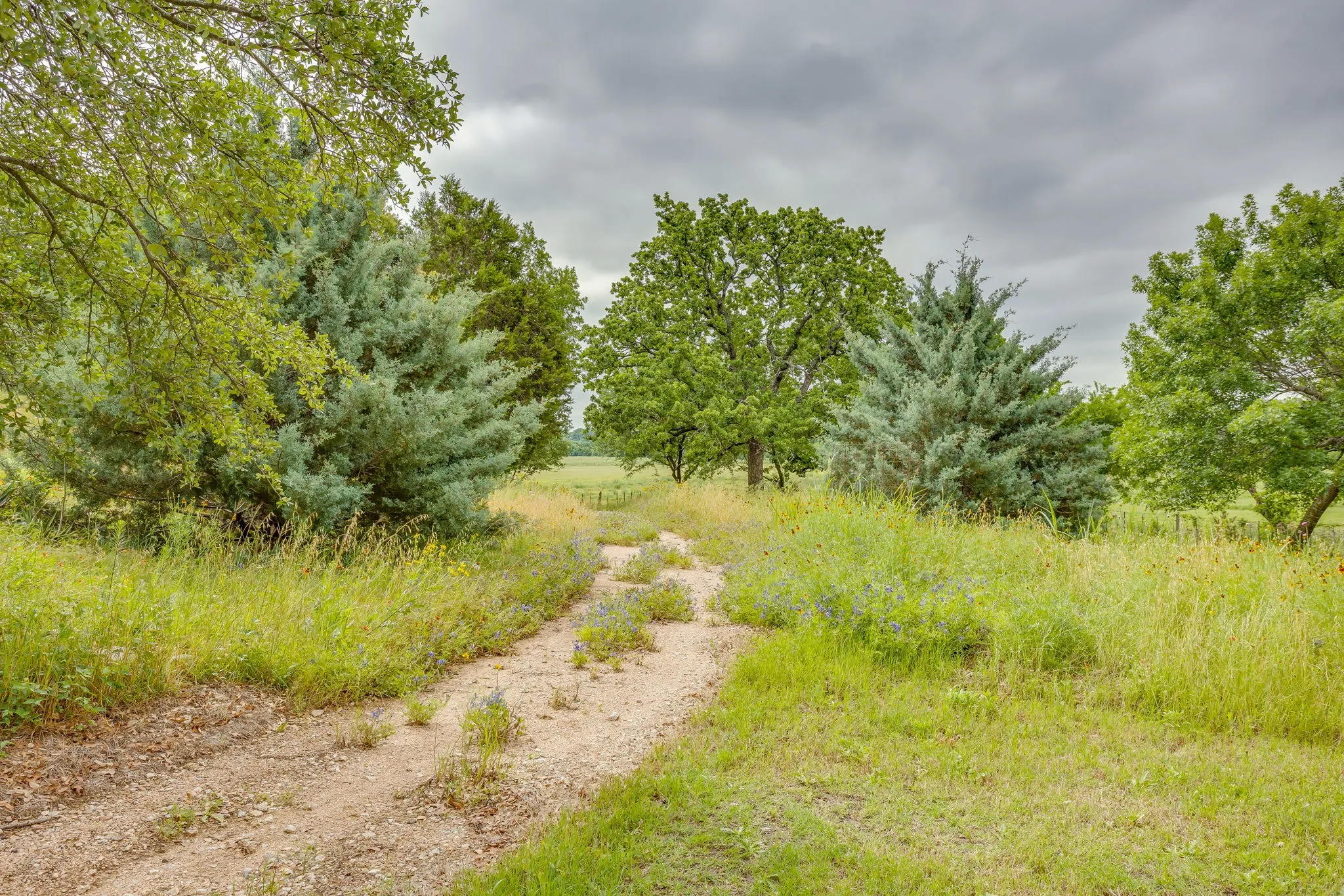 caliche walking trail winds around the pond and through the property