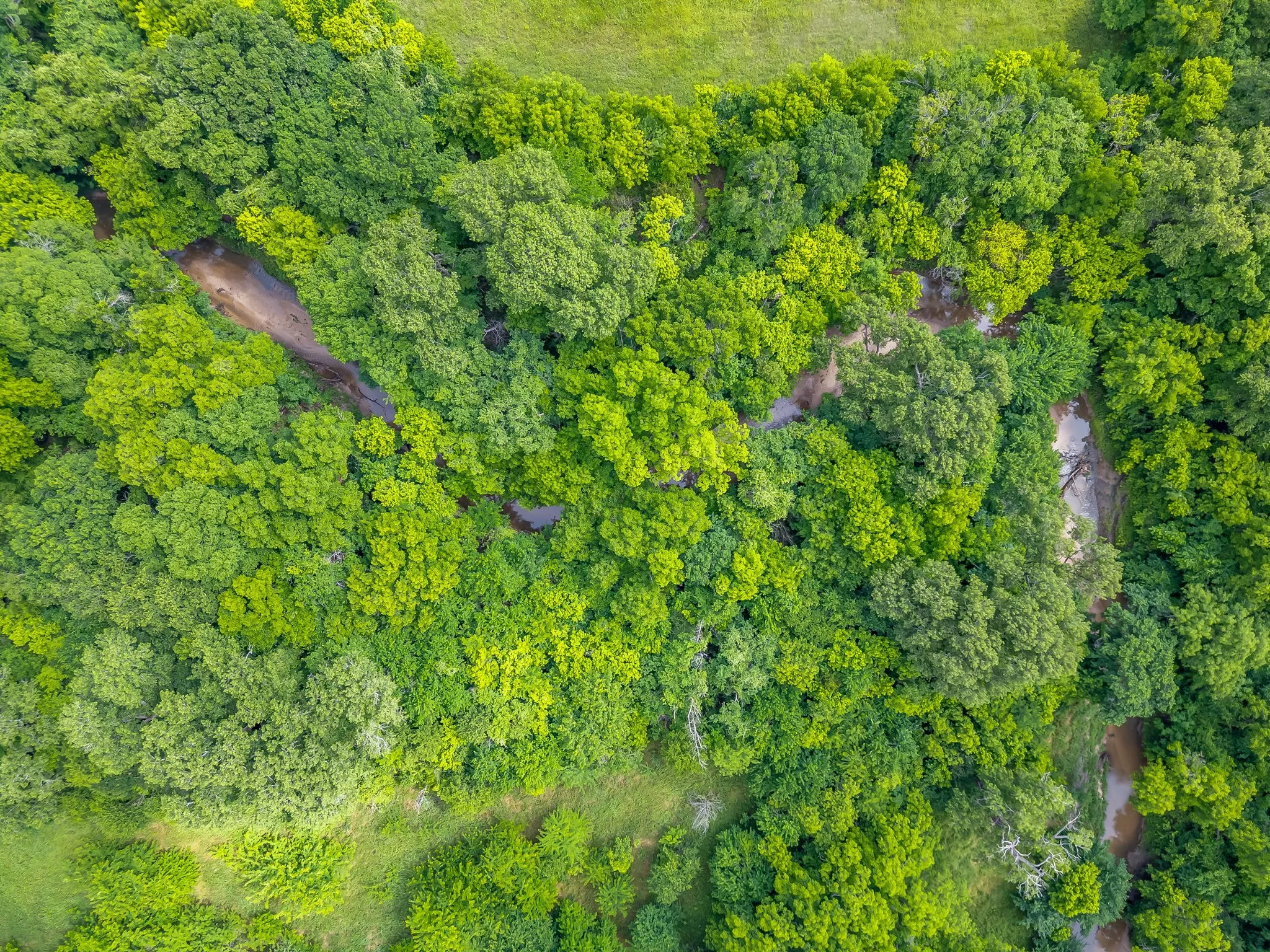 South Fork Trinity River at the back of the property