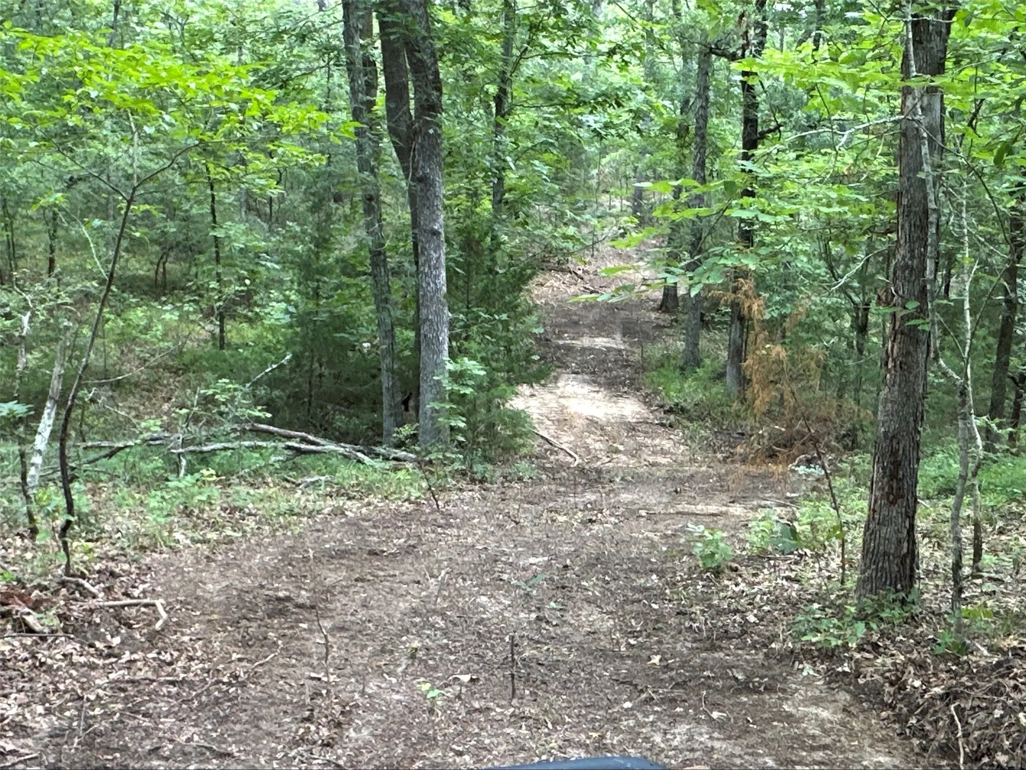 Unimproved Land For Sale in Hopkins County , 000 E FM-71, Dike, Texas 75437, 0, 0, Garage spaces, 0 Sqft, built in 0, mls#21330107, Real Estate Agent in Dike, Homes For Sale in Hopkins county, Homes For Sale in Dike, Realtor in Dike Texas, Real Estate Brokerage Independent Realty Texas, Luminita Cordes Realtor