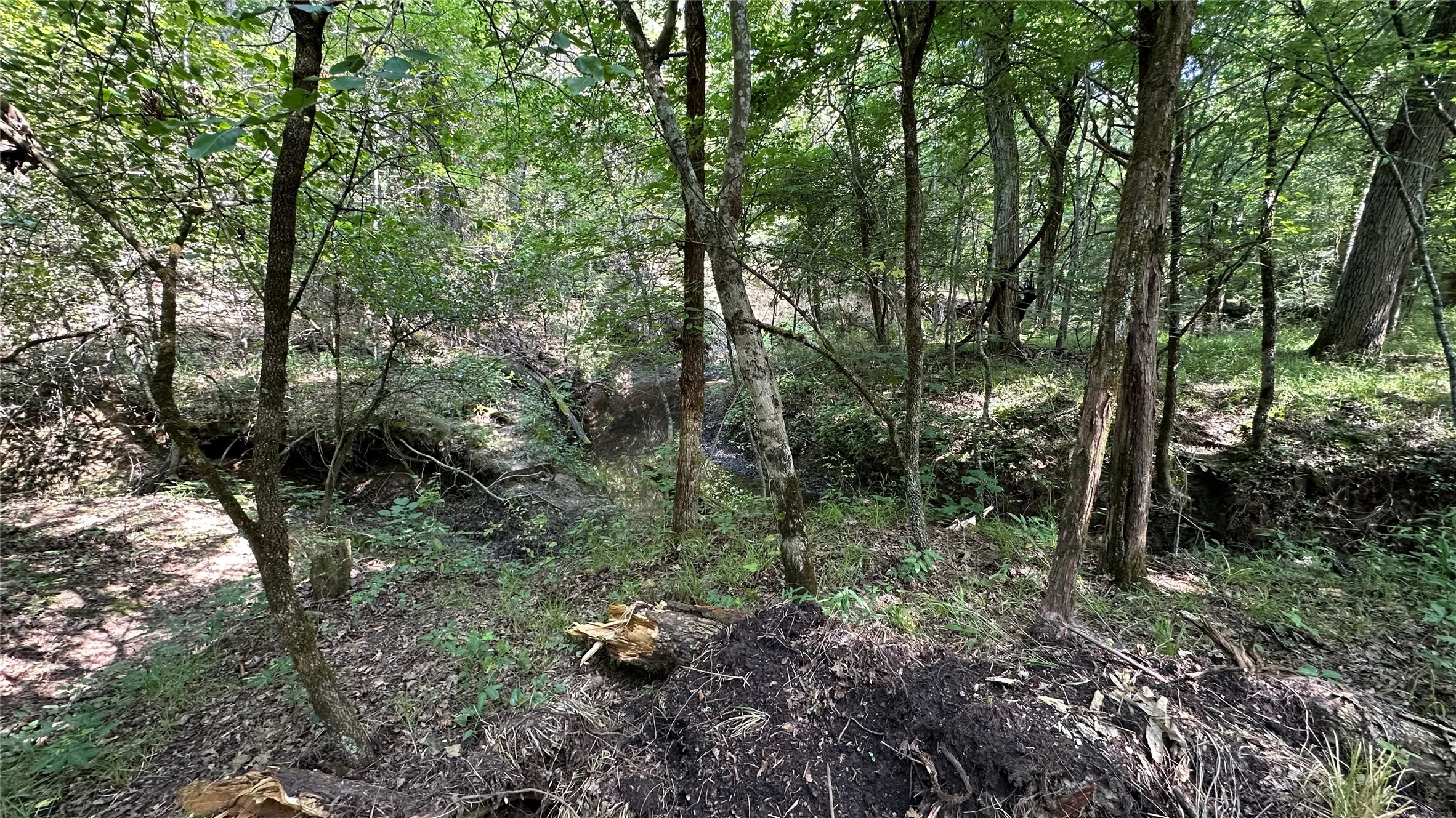 Unimproved Land For Sale in Hopkins County , 000 E FM-71, Dike, Texas 75437, 0, 0, Garage spaces, 0 Sqft, built in 0, mls#21330107, Real Estate Agent in Dike, Homes For Sale in Hopkins county, Homes For Sale in Dike, Realtor in Dike Texas, Real Estate Brokerage Independent Realty Texas, Luminita Cordes Realtor