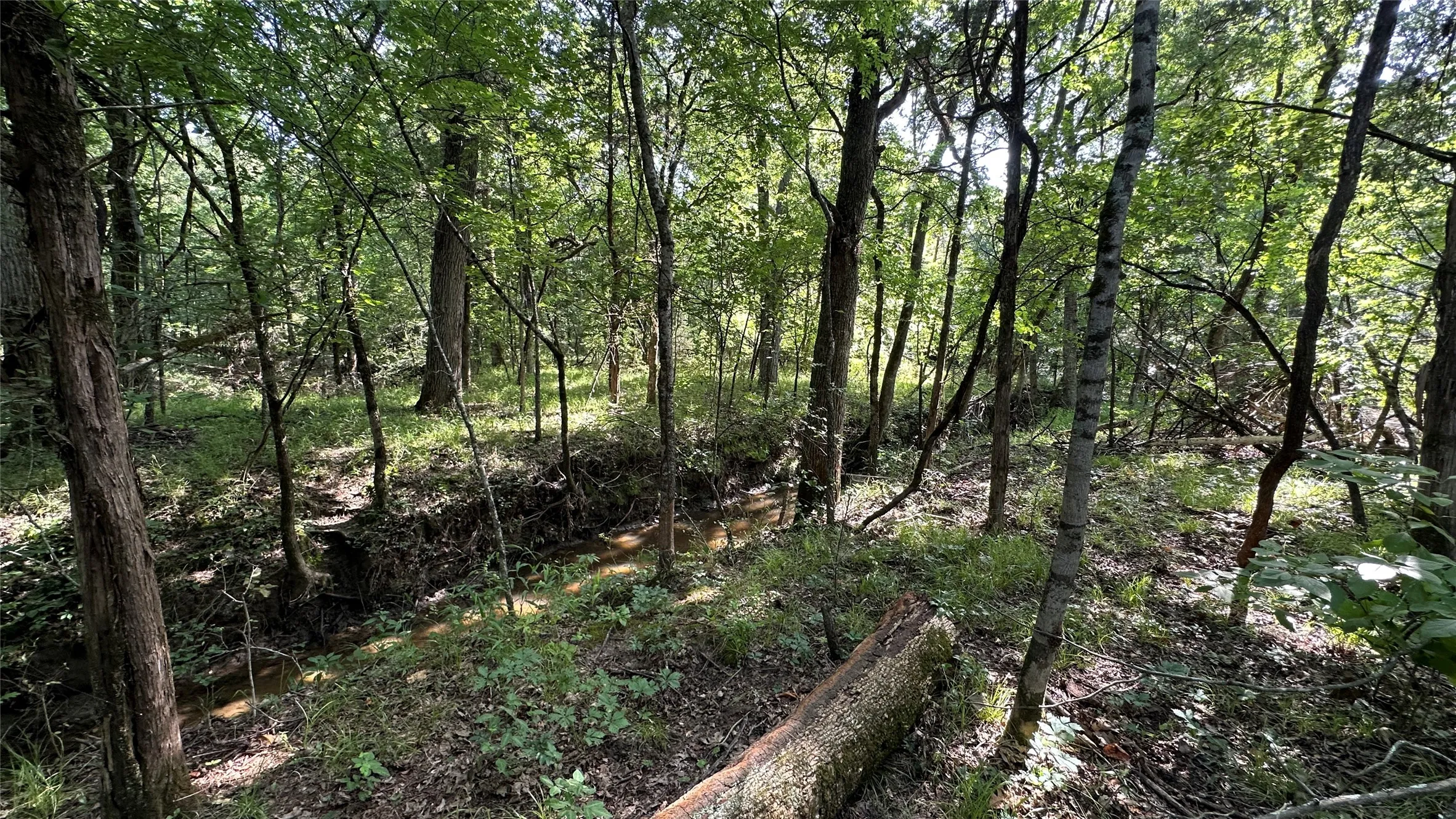Seasonal Creek