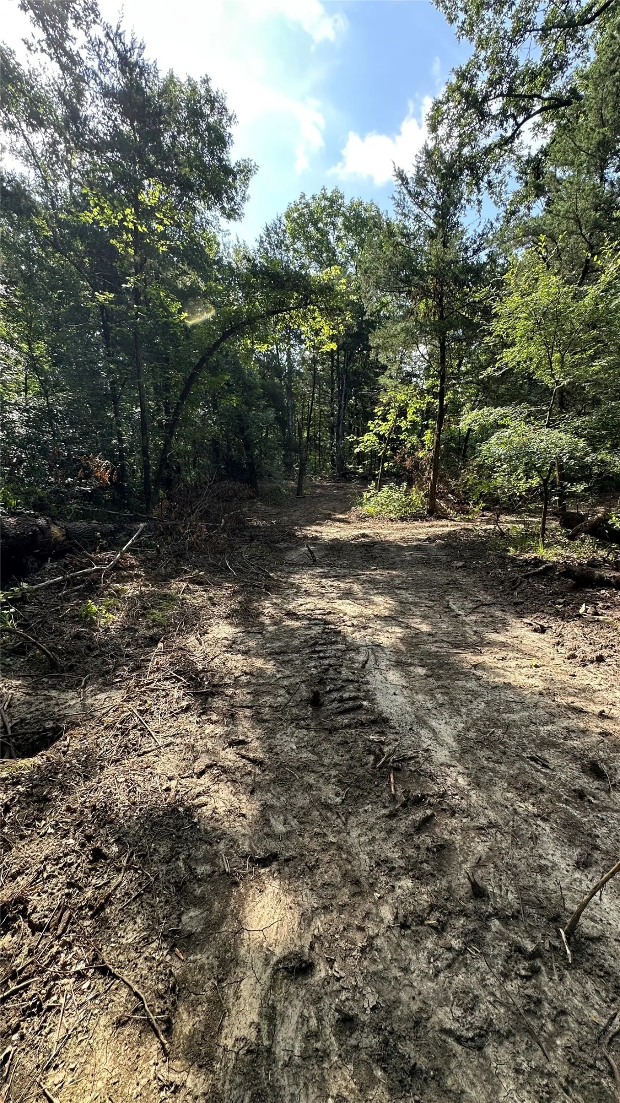New Road Cut July 2026