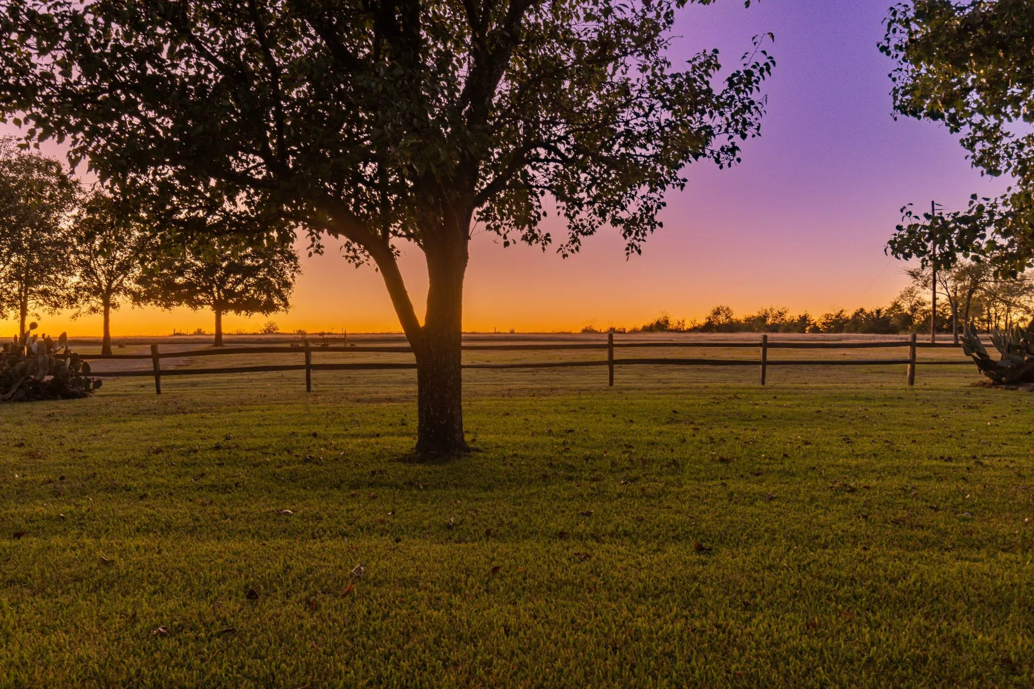 Yard at dusk with a rural view