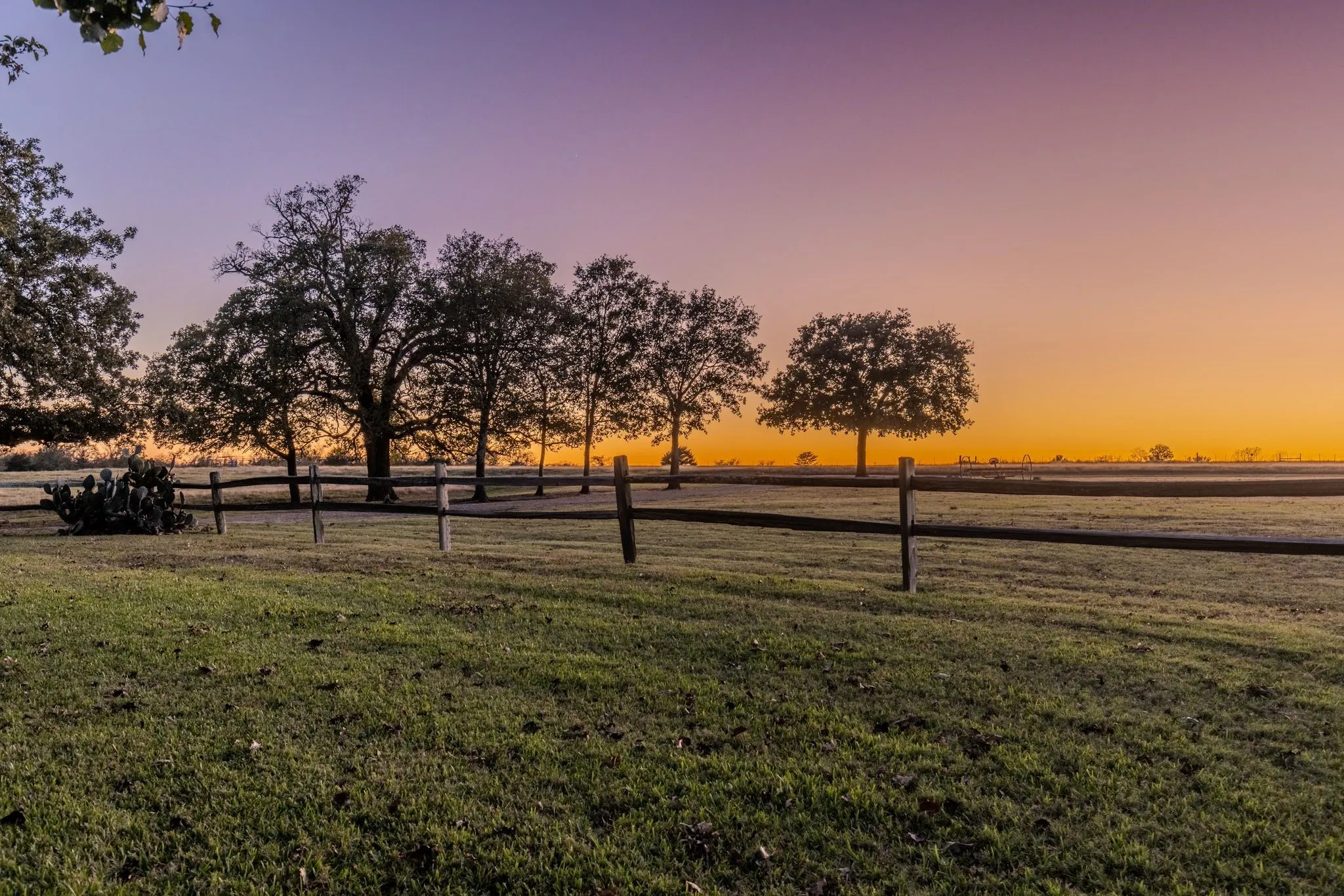 View of yard at dusk