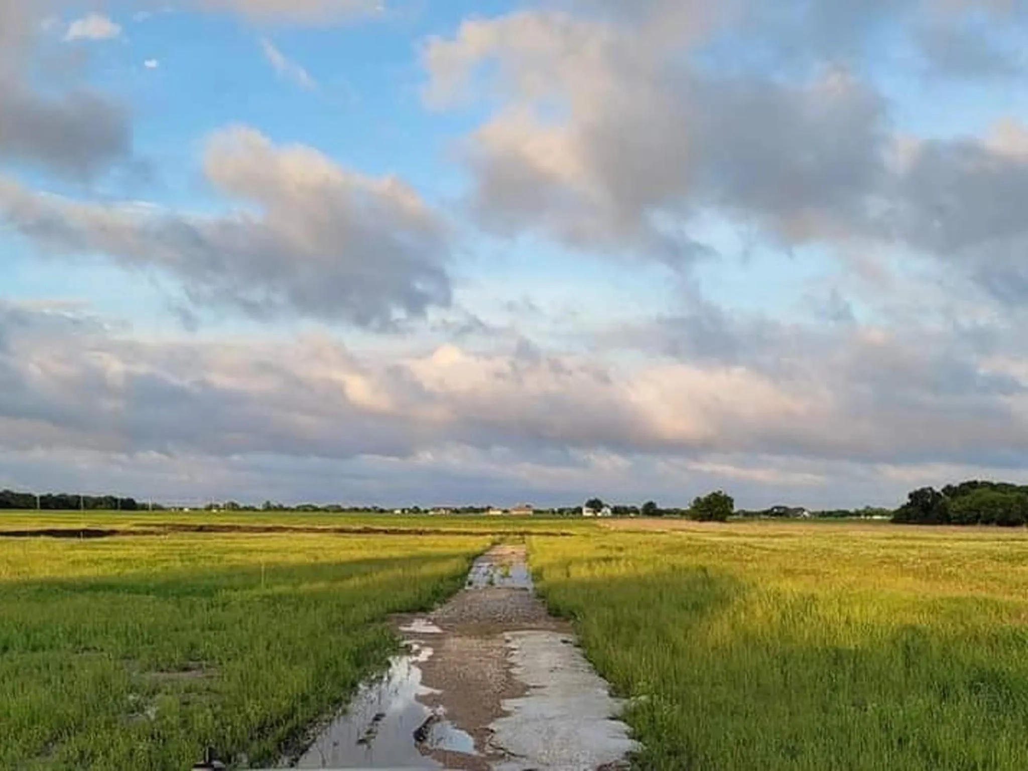 Unimproved Land For Sale in Collin County , 2270 Orr Road, Lucas, Texas 75002, 0, 0, Garage spaces, 0 Sqft, built in 0, mls#21327138, Real Estate Agent in Lucas, Homes For Sale in Collin county, Homes For Sale in Lucas, Realtor in Lucas Texas, Real Estate Brokerage Independent Realty Texas, Luminita Cordes Realtor
