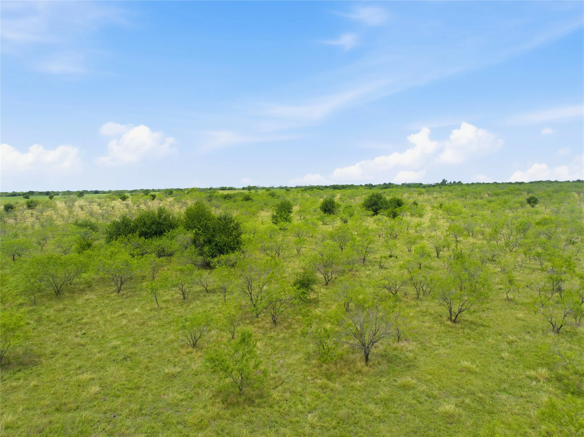 Single Family Residence For Sale in Limestone County , 1594 Lcr 312, Mart, Texas 76664, 5 Bedroom, 3 Bathroom, Garage spaces, 3,200 Sqft, built in 1984, mls#21330761, Real Estate Agent in Mart, Homes For Sale in Limestone county, Homes For Sale in Mart, Realtor in Mart Texas, Real Estate Brokerage Independent Realty Texas, Luminita Cordes Realtor