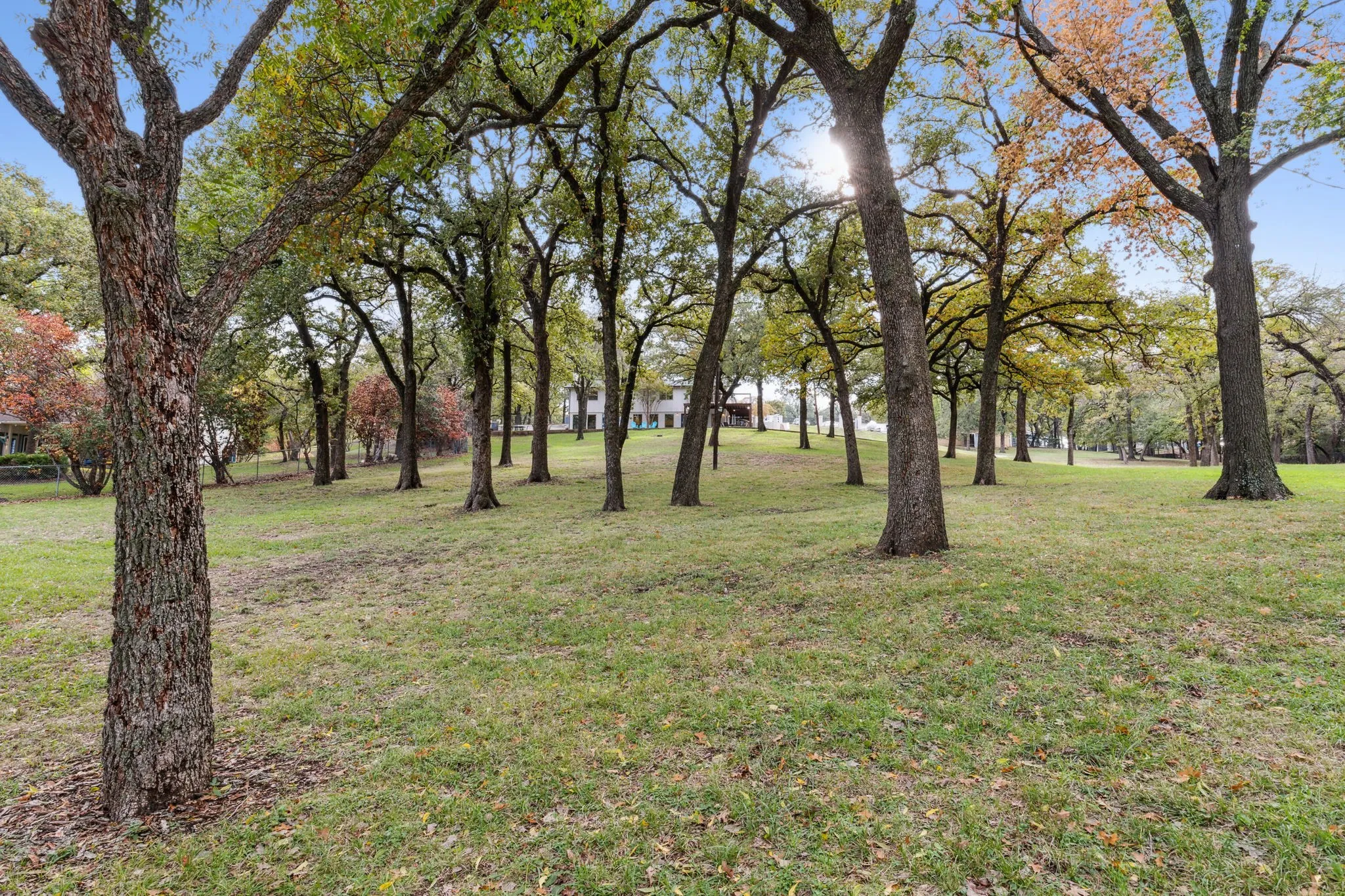 Park-like setting full of mature trees and rolling slopes towards the water