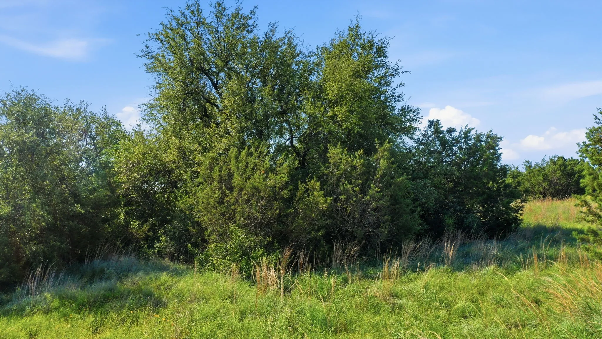 Ranch For Sale in Hood County , 100 Gilmore Court, Lipan, Texas 76462, 0, 0, Garage spaces, 0 Sqft, built in 0, mls#21331086, Real Estate Agent in Lipan, Homes For Sale in Hood county, Homes For Sale in Lipan, Realtor in Lipan Texas, Real Estate Brokerage Independent Realty Texas, Luminita Cordes Realtor