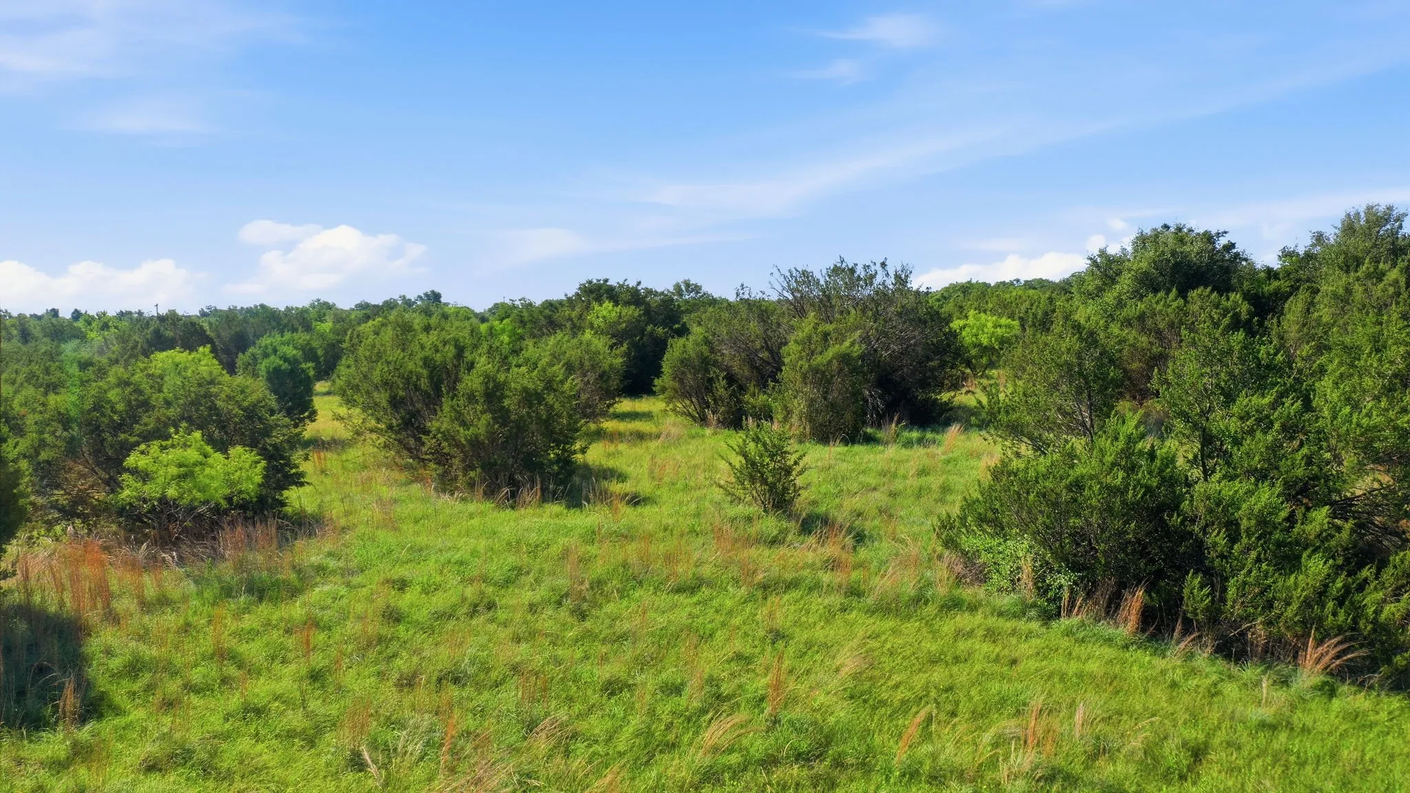 Ranch For Sale in Hood County , 100 Gilmore Court, Lipan, Texas 76462, 0, 0, Garage spaces, 0 Sqft, built in 0, mls#21331086, Real Estate Agent in Lipan, Homes For Sale in Hood county, Homes For Sale in Lipan, Realtor in Lipan Texas, Real Estate Brokerage Independent Realty Texas, Luminita Cordes Realtor