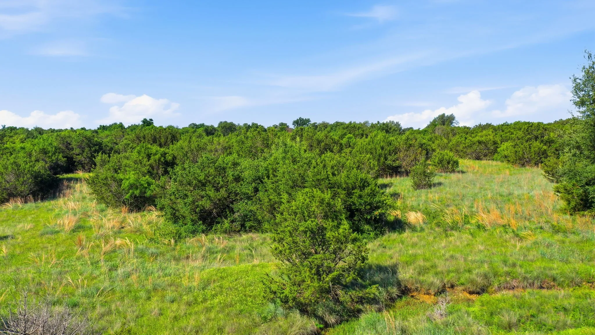 Ranch For Sale in Hood County , 100 Gilmore Court, Lipan, Texas 76462, 0, 0, Garage spaces, 0 Sqft, built in 0, mls#21331086, Real Estate Agent in Lipan, Homes For Sale in Hood county, Homes For Sale in Lipan, Realtor in Lipan Texas, Real Estate Brokerage Independent Realty Texas, Luminita Cordes Realtor