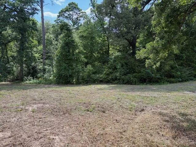 Unimproved Land For Sale in Upshur County , TBD Cypress Creek Drive, Diana, Texas 75640, 0, 0, Garage spaces, 0 Sqft, built in 0, Price $40,000, mls#21331106, Real Estate Agent in Diana, Homes For Sale in Upshur county, Homes For Sale in Diana, Realtor in Diana Texas, Real Estate Brokerage Independent Realty Texas, Luminita Cordes Realtor