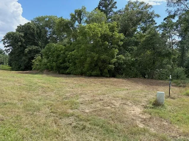 Unimproved Land For Sale in Upshur County , TBD Cypress Creek Drive, Diana, Texas 75640, 0, 0, Garage spaces, 0 Sqft, built in 0, Price $40,000, mls#21331106, Real Estate Agent in Diana, Homes For Sale in Upshur county, Homes For Sale in Diana, Realtor in Diana Texas, Real Estate Brokerage Independent Realty Texas, Luminita Cordes Realtor