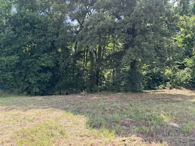 Unimproved Land For Sale in Upshur County , TBD Cypress Creek Drive, Diana, Texas 75640, 0, 0, Garage spaces, 0 Sqft, built in 0, Price $40,000, mls#21331106, Real Estate Agent in Diana, Homes For Sale in Upshur county, Homes For Sale in Diana, Realtor in Diana Texas, Real Estate Brokerage Independent Realty Texas, Luminita Cordes Realtor