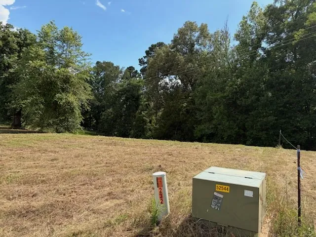 Unimproved Land For Sale in Upshur County , TBD Cypress Creek Drive, Diana, Texas 75640, 0, 0, Garage spaces, 0 Sqft, built in 0, Price $40,000, mls#21331106, Real Estate Agent in Diana, Homes For Sale in Upshur county, Homes For Sale in Diana, Realtor in Diana Texas, Real Estate Brokerage Independent Realty Texas, Luminita Cordes Realtor