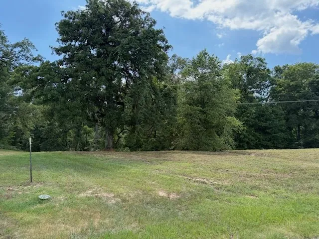 Unimproved Land For Sale in Upshur County , TBD Cypress Creek Drive, Diana, Texas 75640, 0, 0, Garage spaces, 0 Sqft, built in 0, Price $40,000, mls#21331106, Real Estate Agent in Diana, Homes For Sale in Upshur county, Homes For Sale in Diana, Realtor in Diana Texas, Real Estate Brokerage Independent Realty Texas, Luminita Cordes Realtor