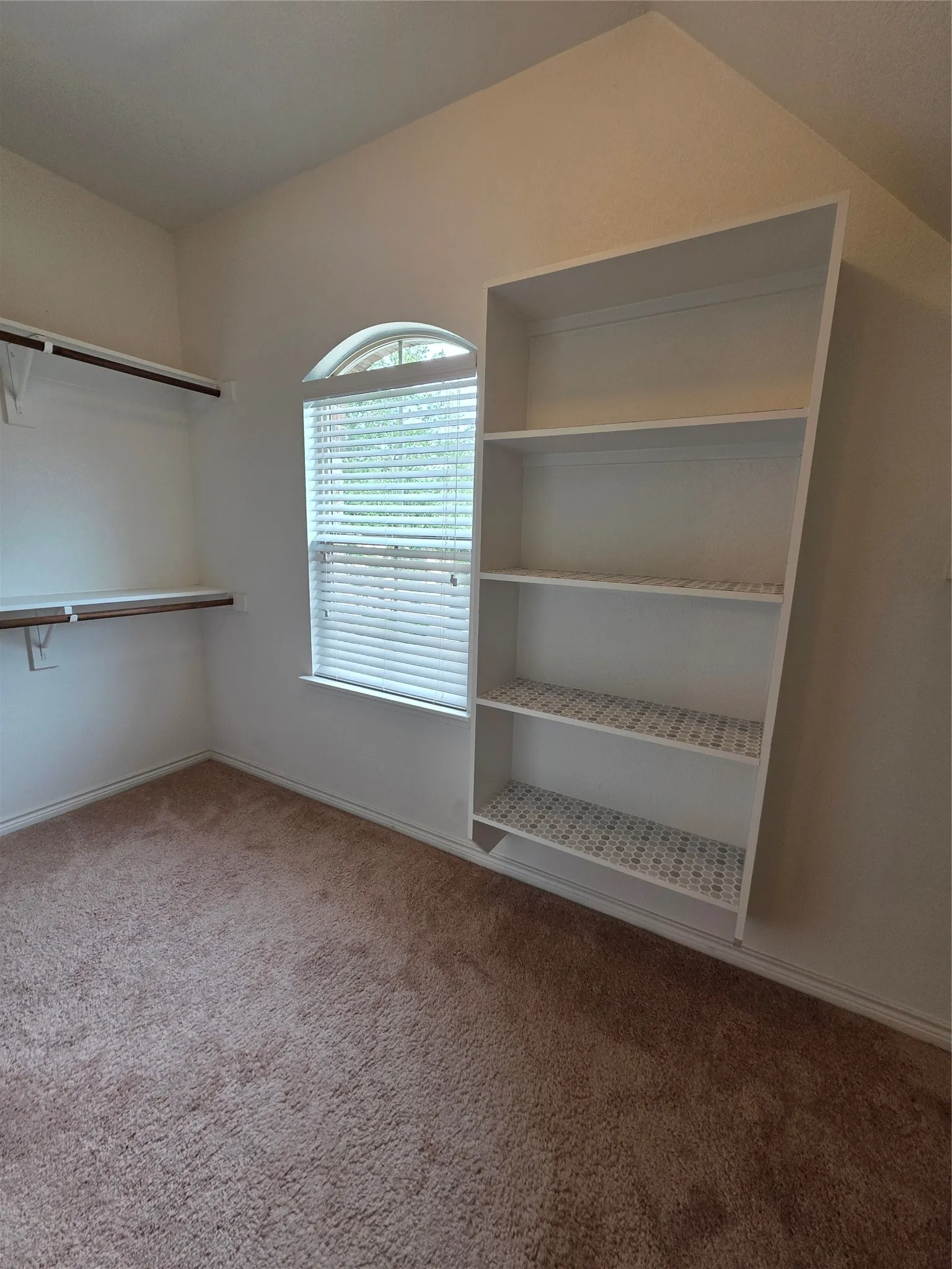 Arched window with blinds, built-in shelving, wall-mounted shelving and hanging rods, and carpeting