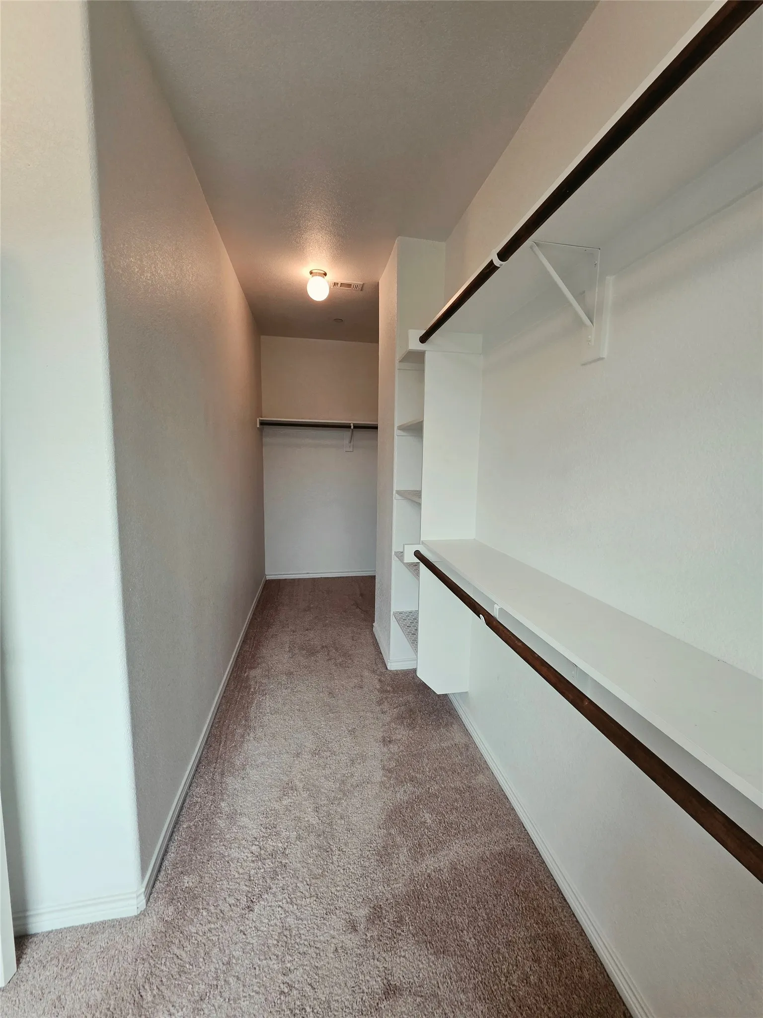 Spacious walk-in closet featuring carpet flooring, built-in shelving, and multiple clothing rods