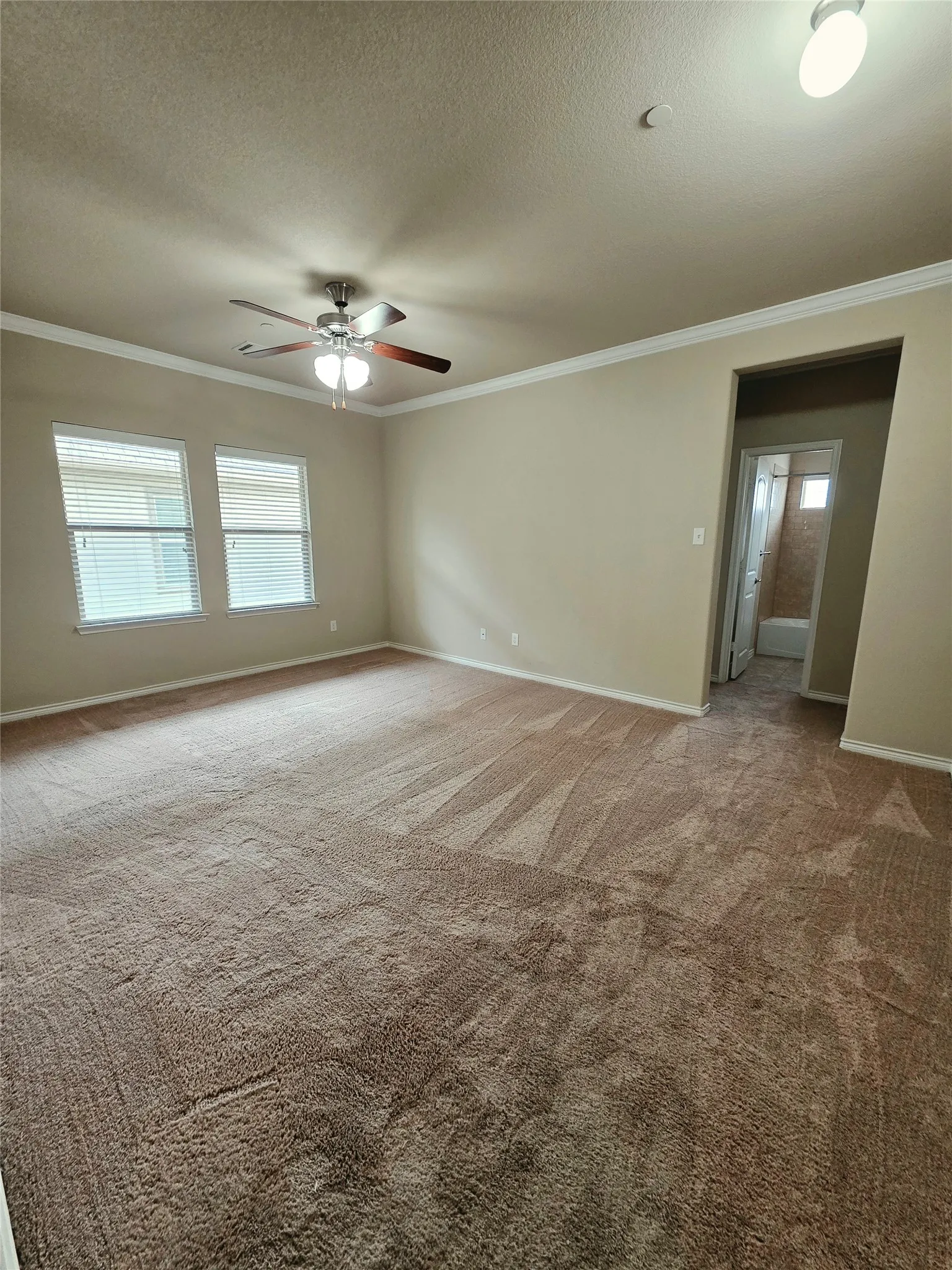 Spacious room featuring carpeting, crown molding, a ceiling fan, and multiple windows with horizontal blinds