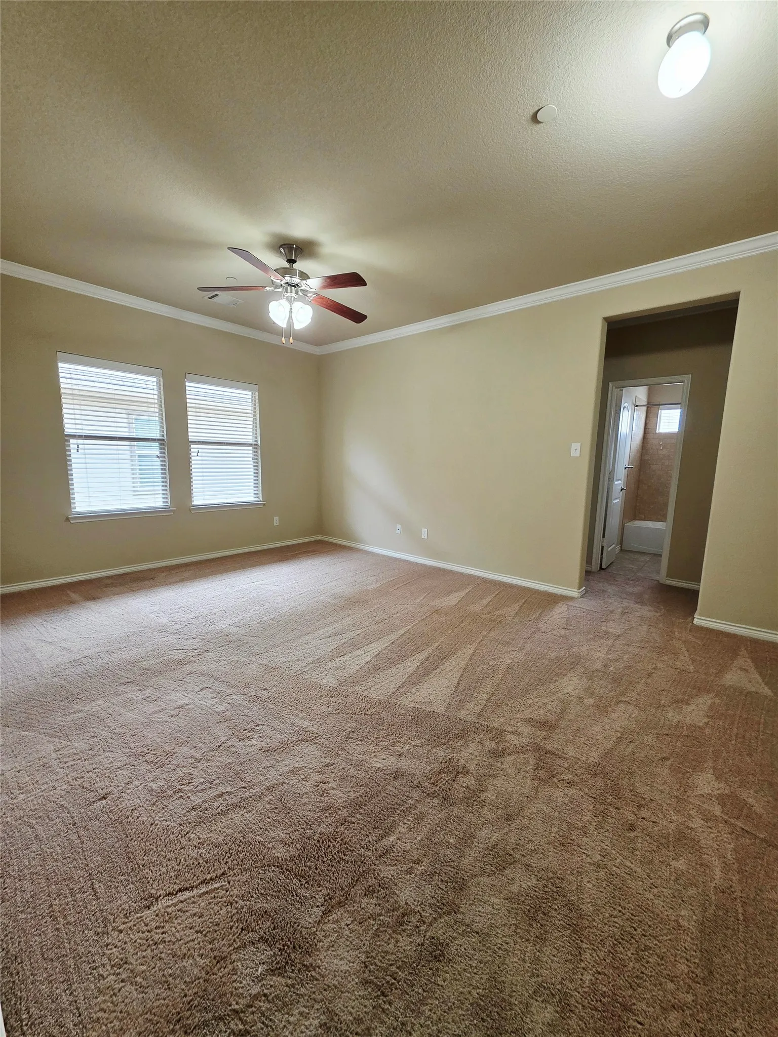 Spacious room with plush carpet flooring, dual windows with blinds, a ceiling fan, and crown molding